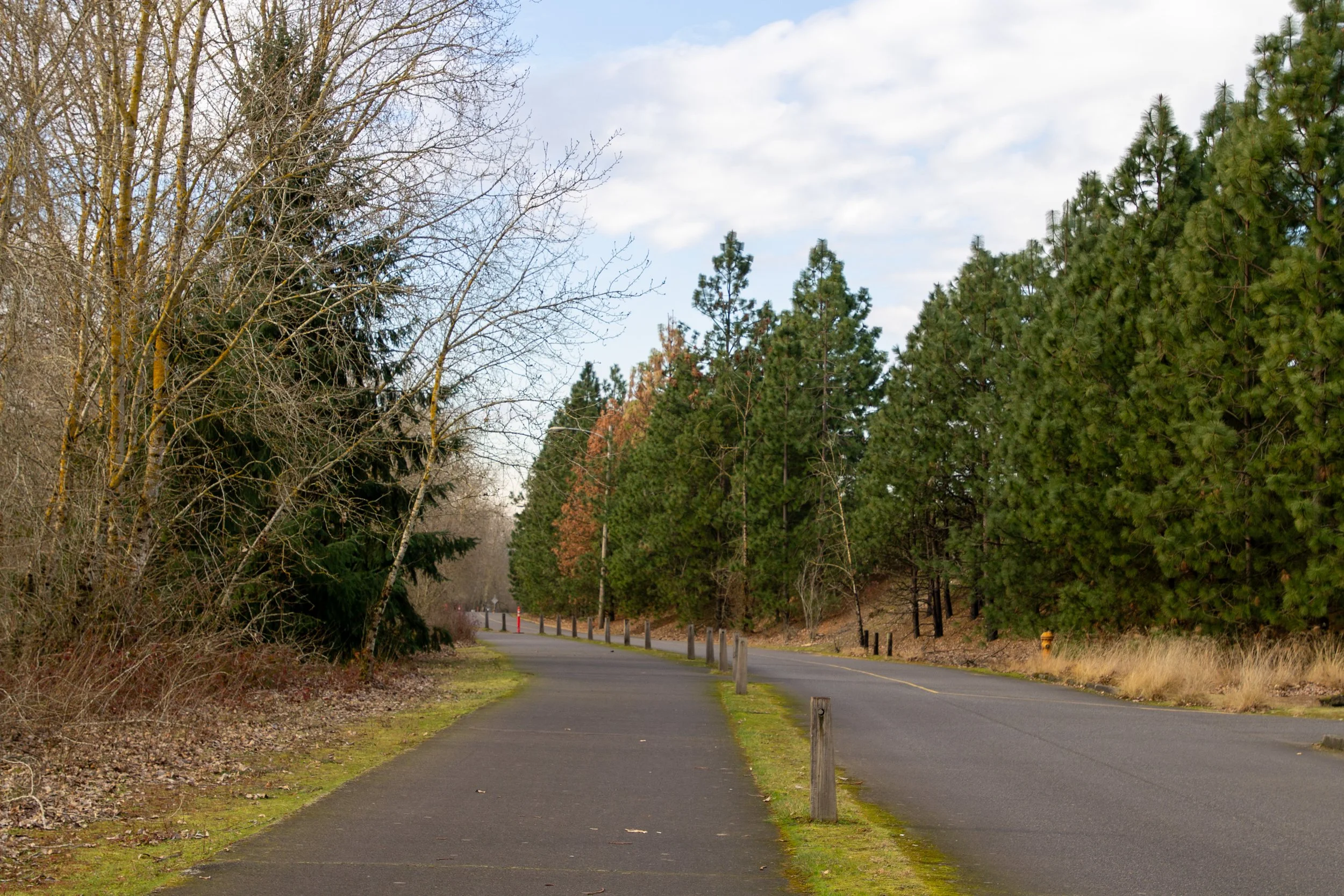 Flat paved trail next to road