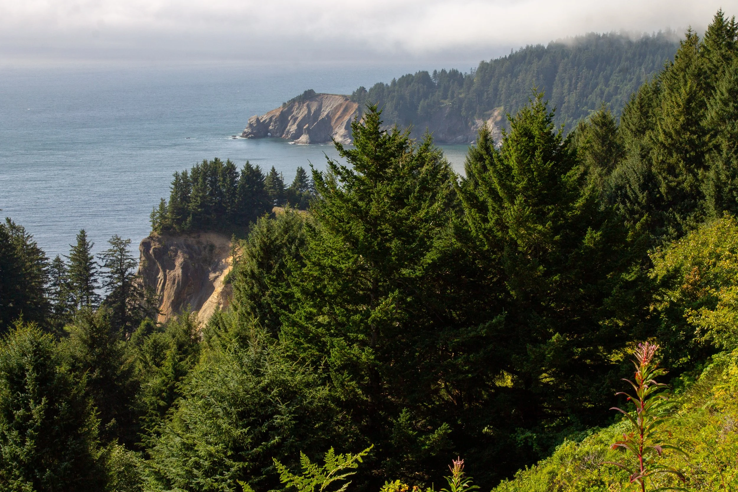 Cape Falcon from Neahkahnie Mountain