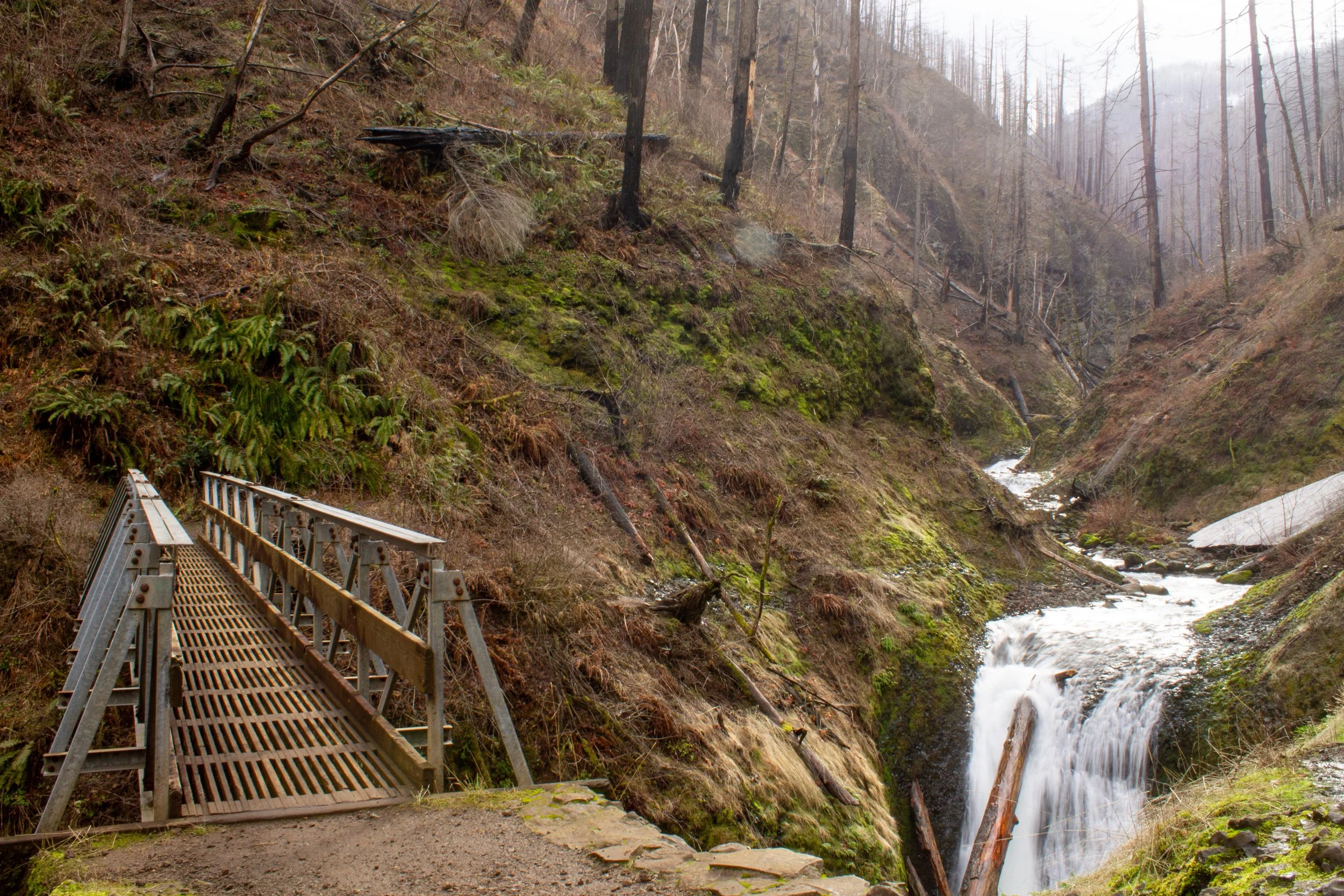 Metal footbridge next to waterfall in burn forest