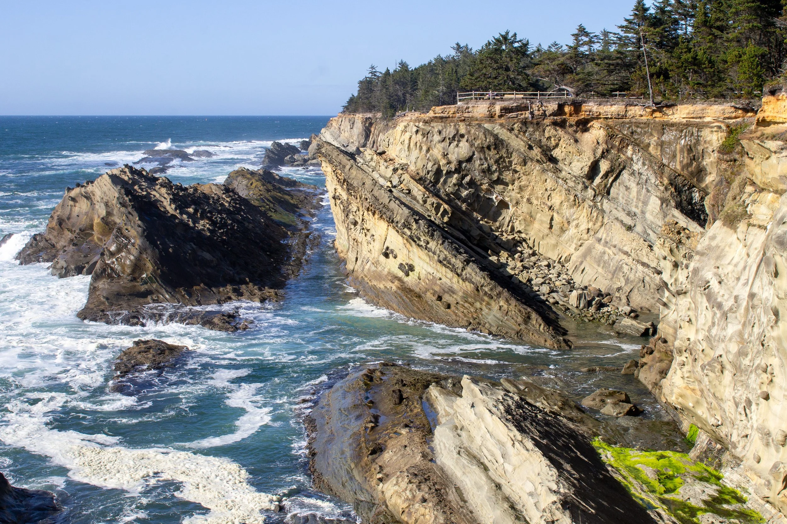 Shores Acres State Park