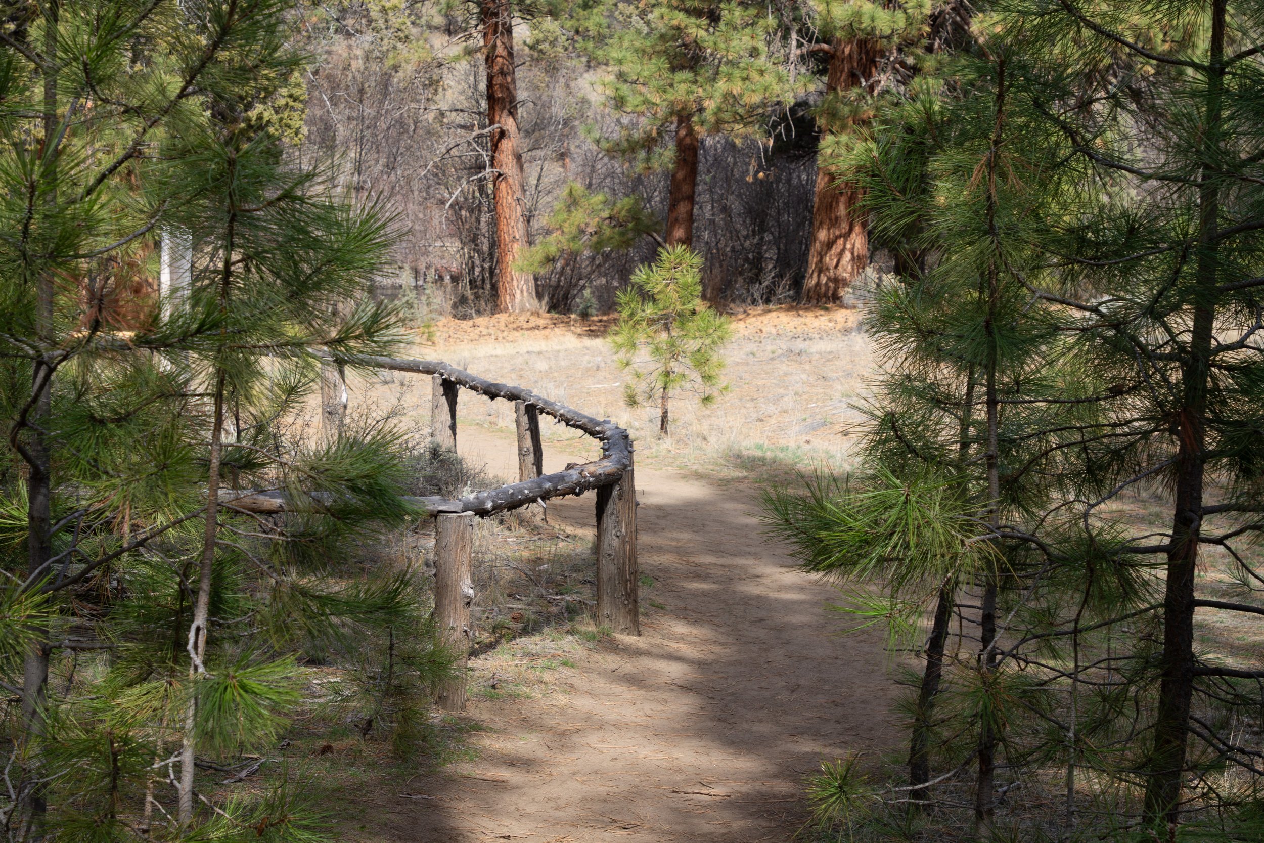 Rustic fence along hiking trail
