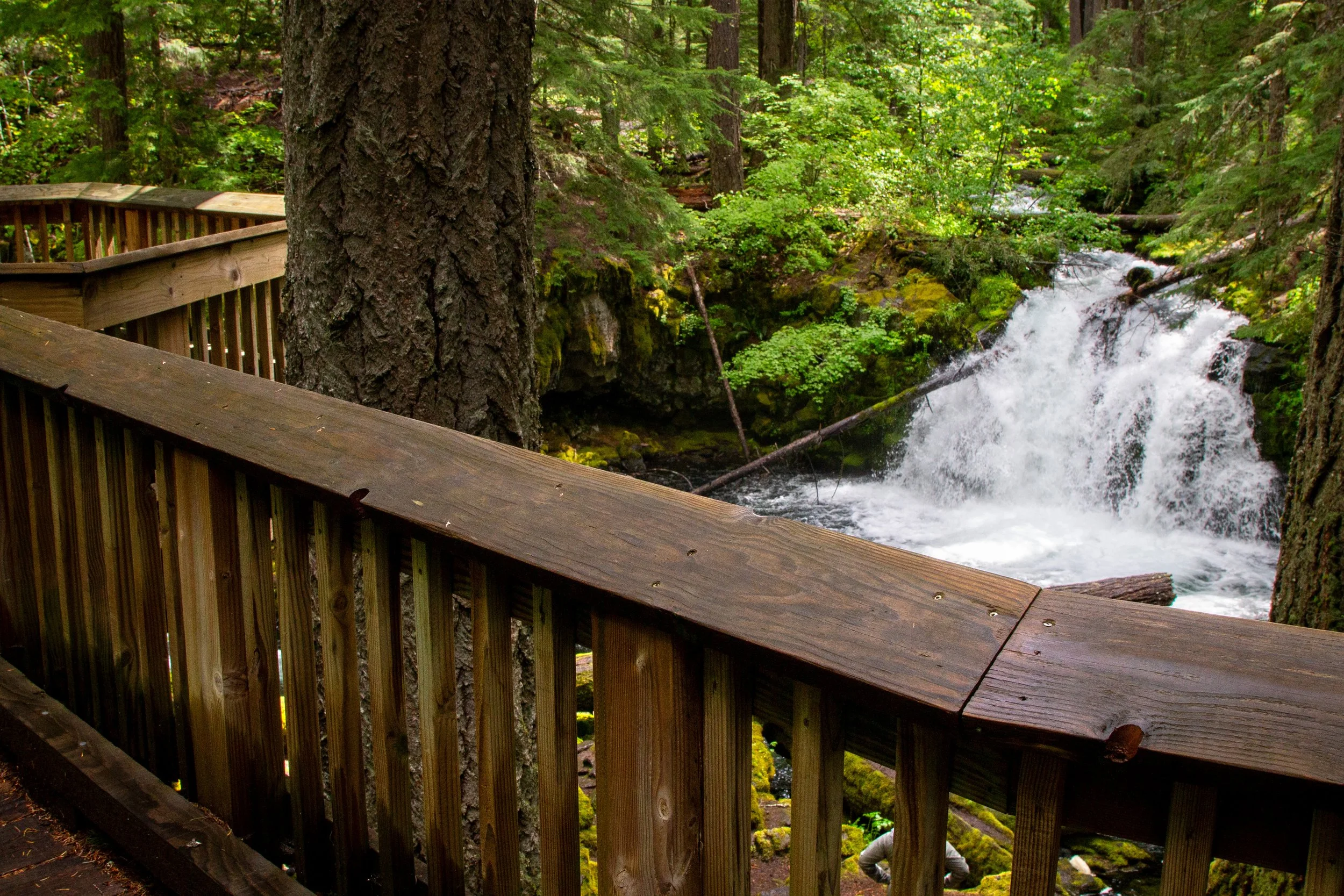 Whitehorse Falls and viewing platform