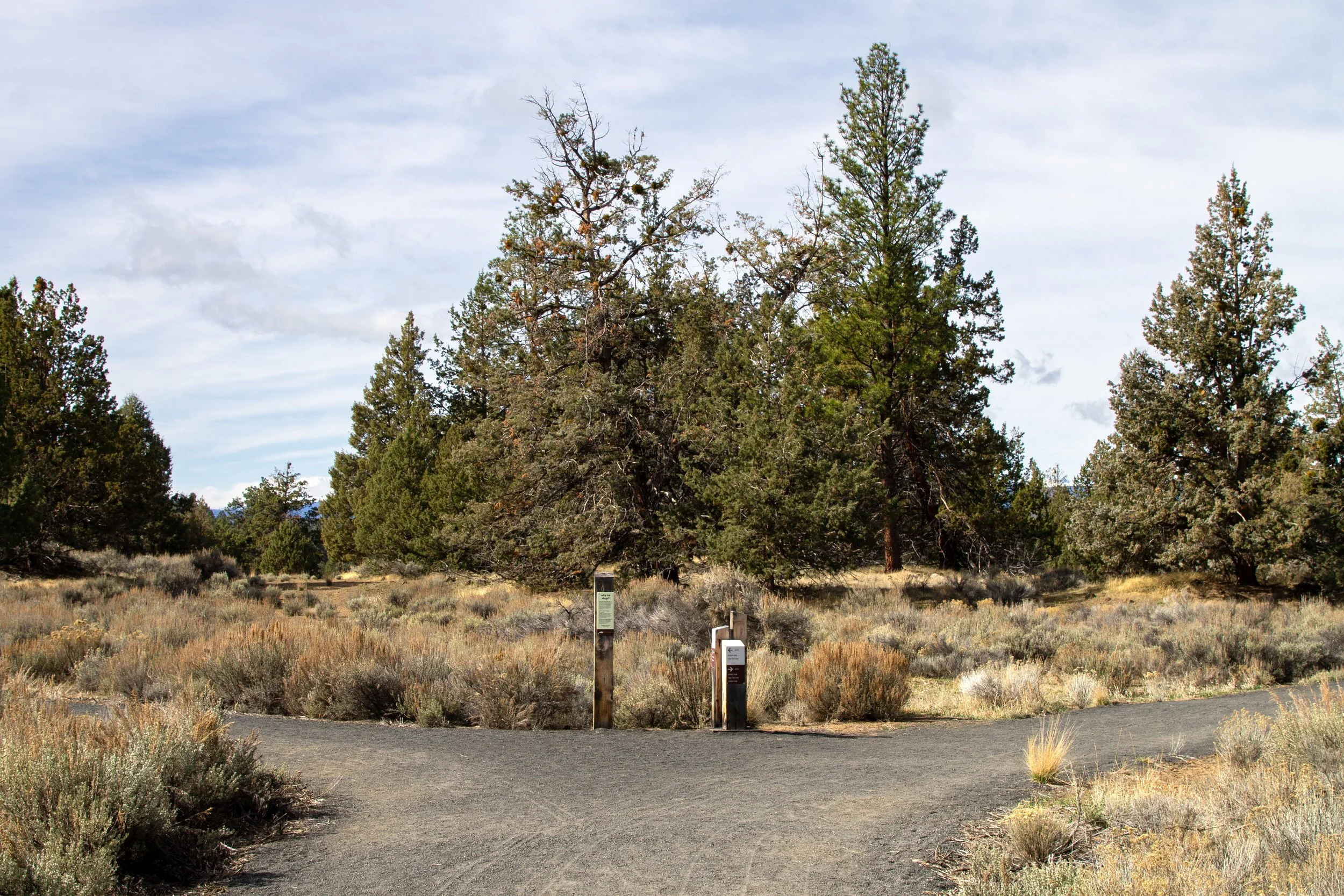 Riley Ranch Juniper Loop Trail