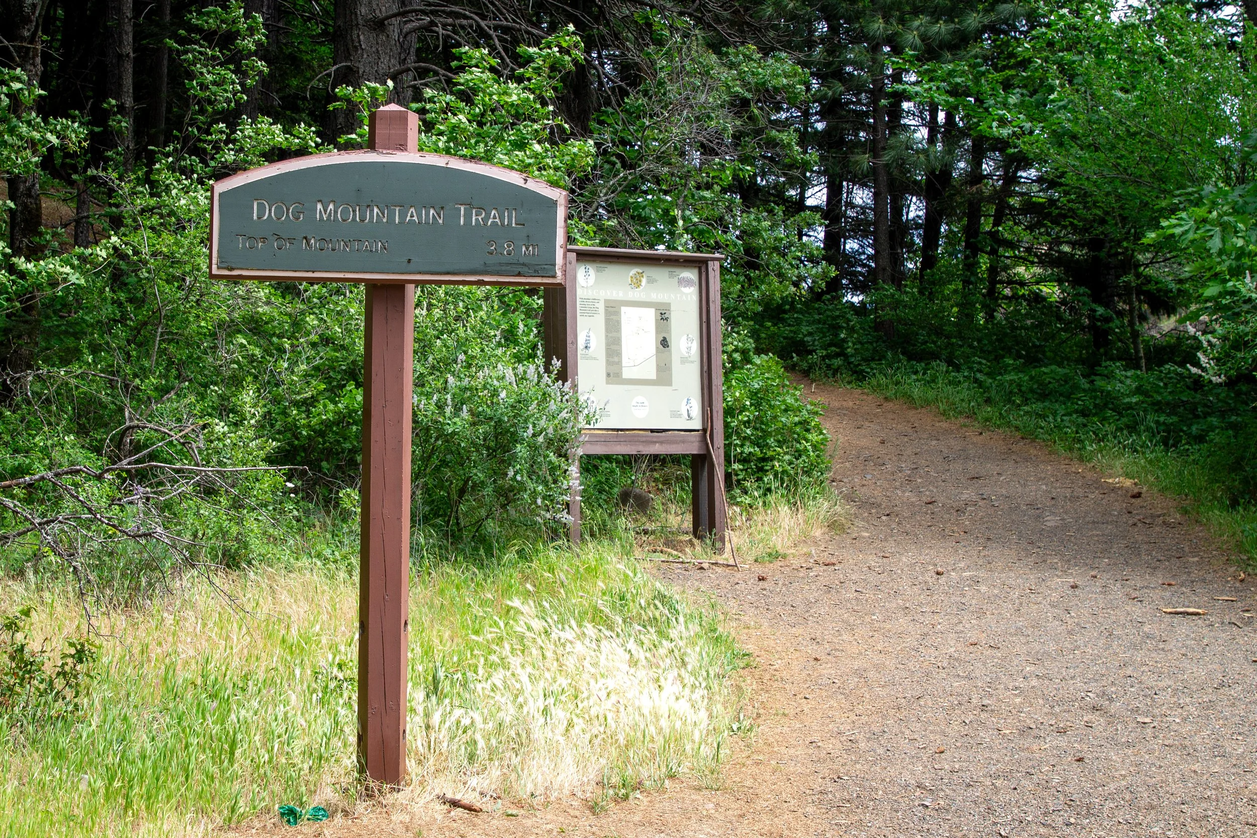 Dog Mountain Trailhead