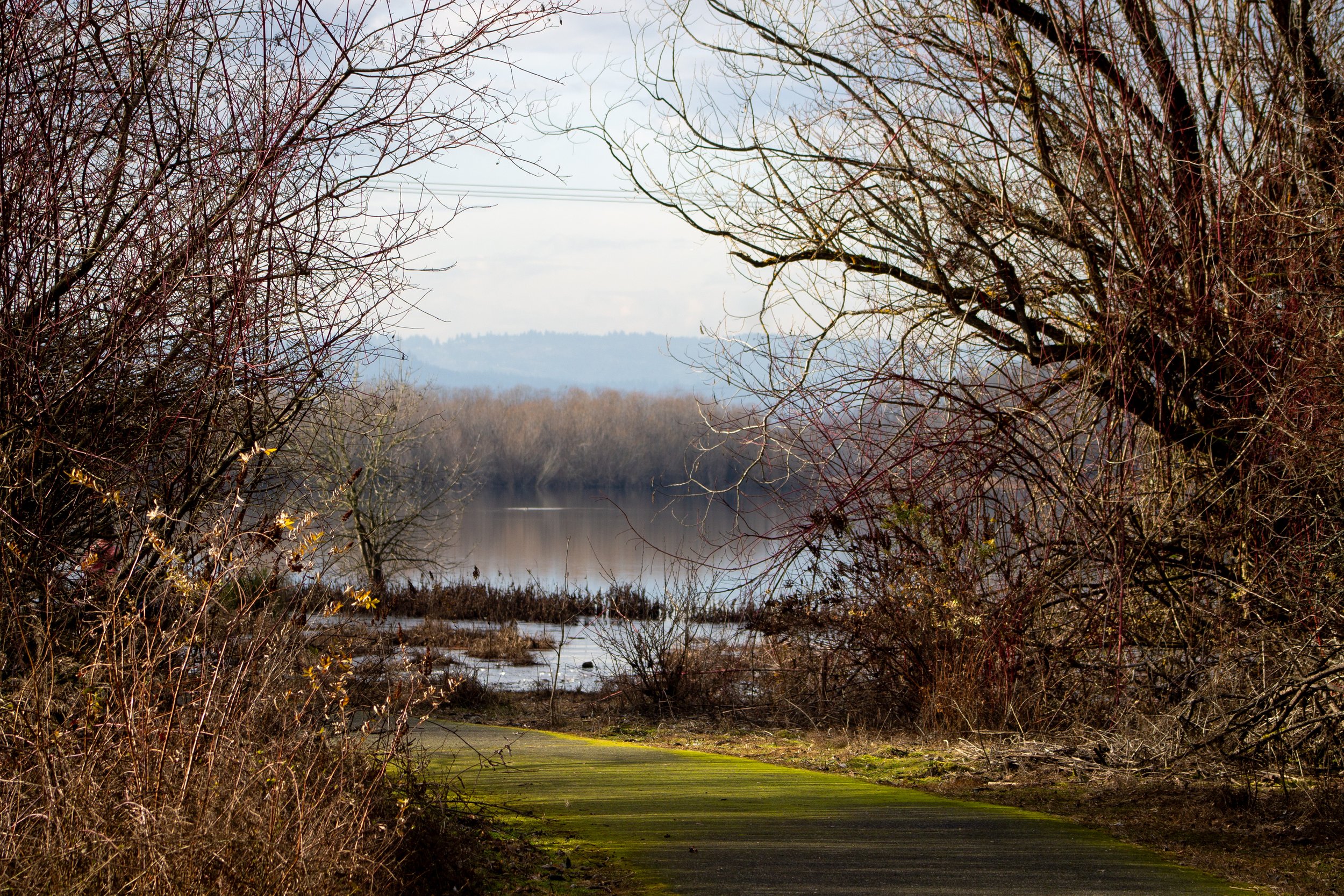 Interlakes Trail approaches Bybee Lake