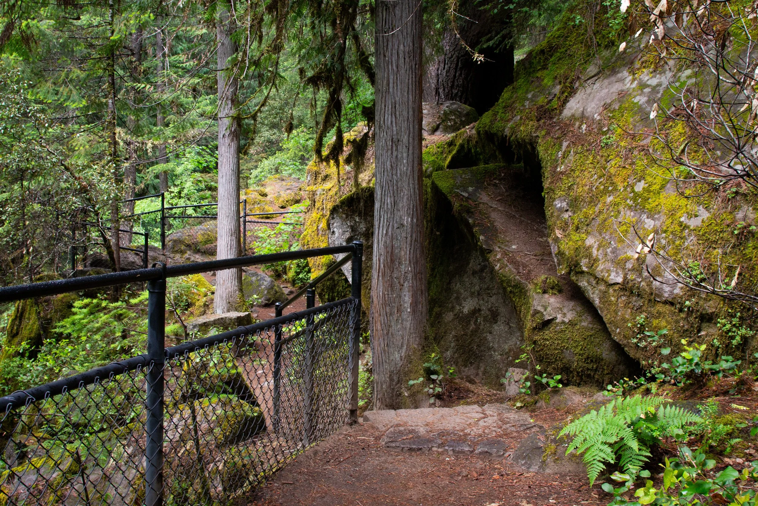 Fence along the Toketee Falls Trail