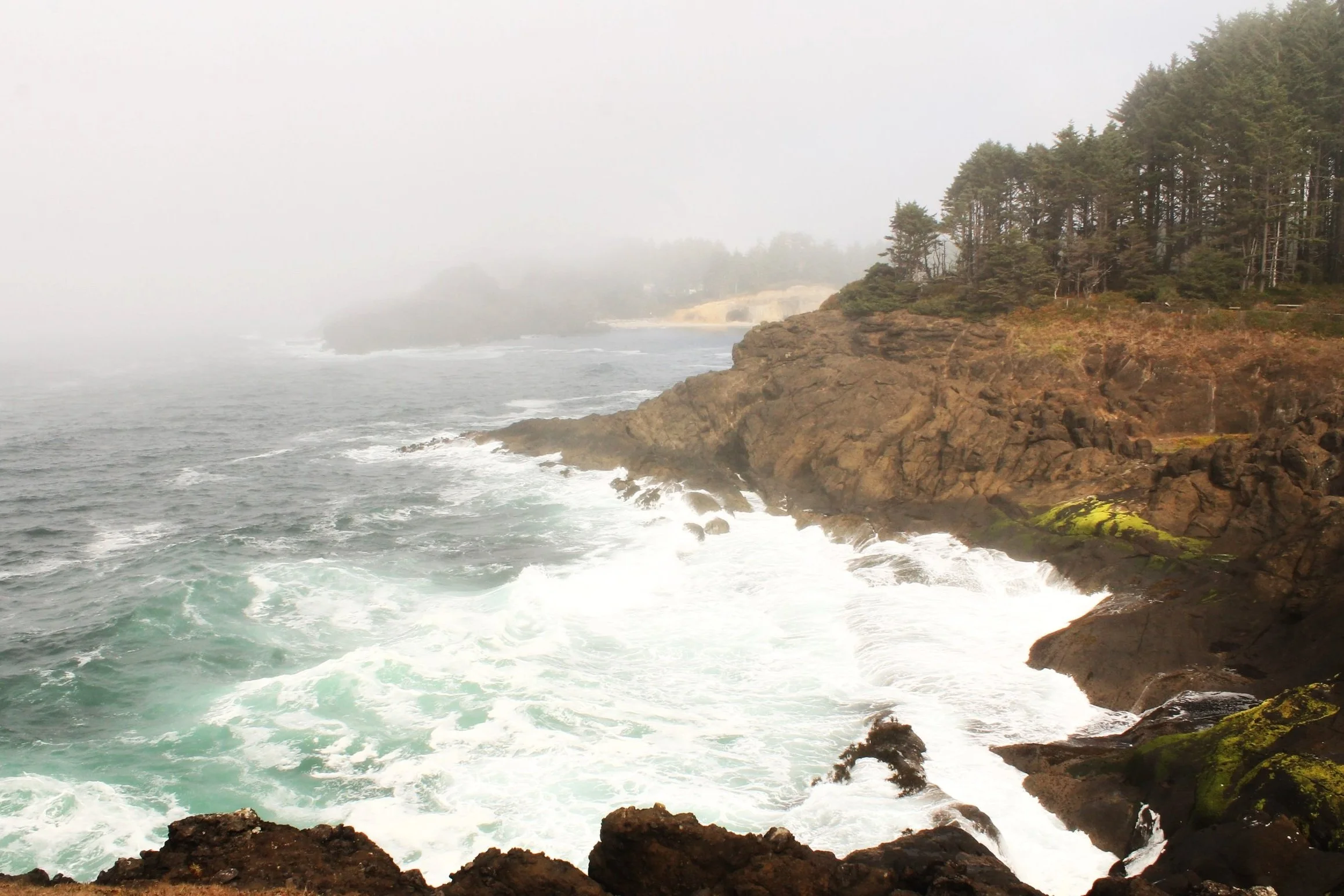 Best 10 Stops on the Oregon Coast from Depoe Bay to Newport — Pines and