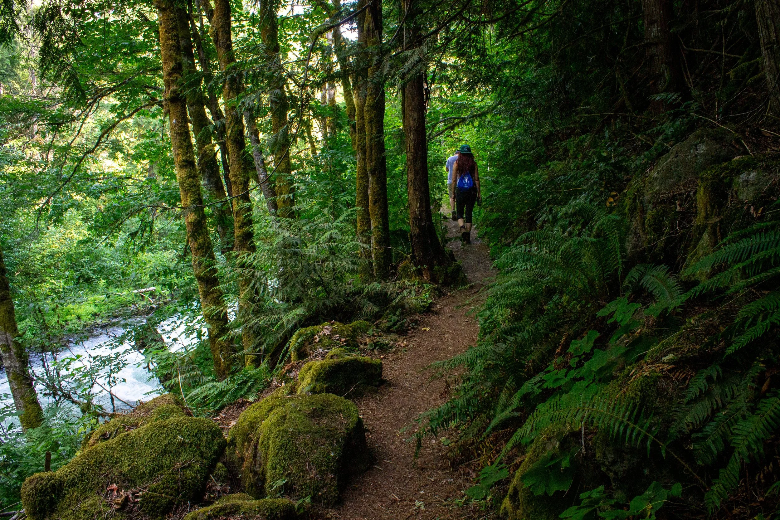Hikers on trail to BZ Falls