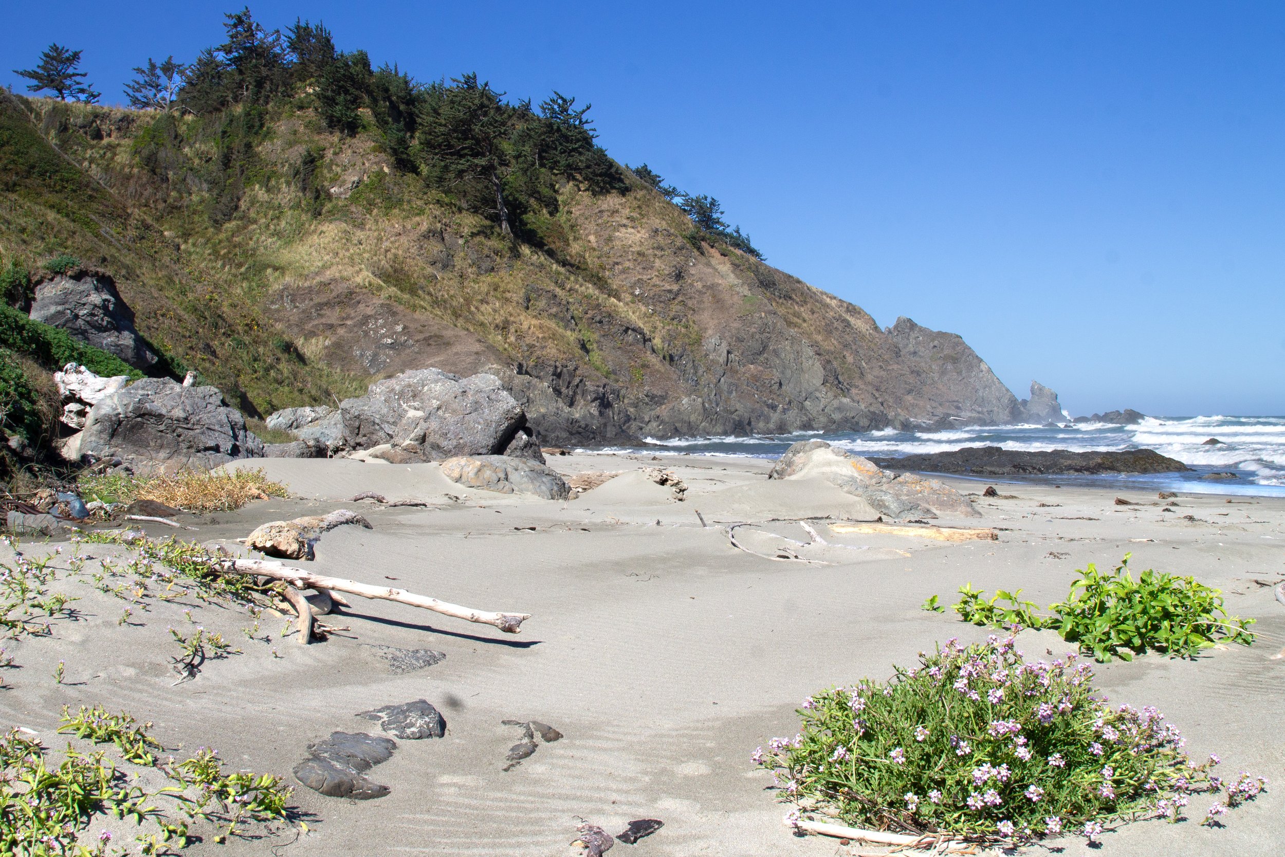 Cliff of Cape Blanco behind beach