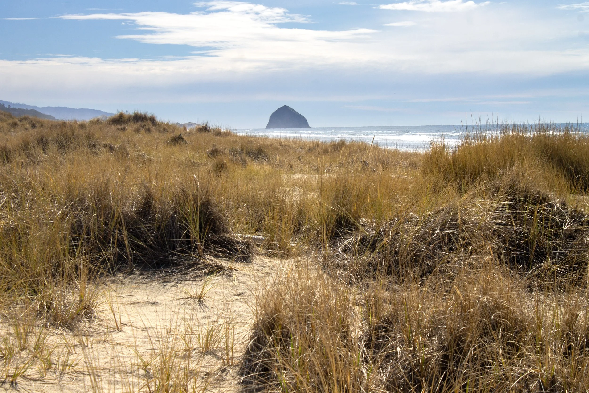 Large sea stack beyond beach with dry grass