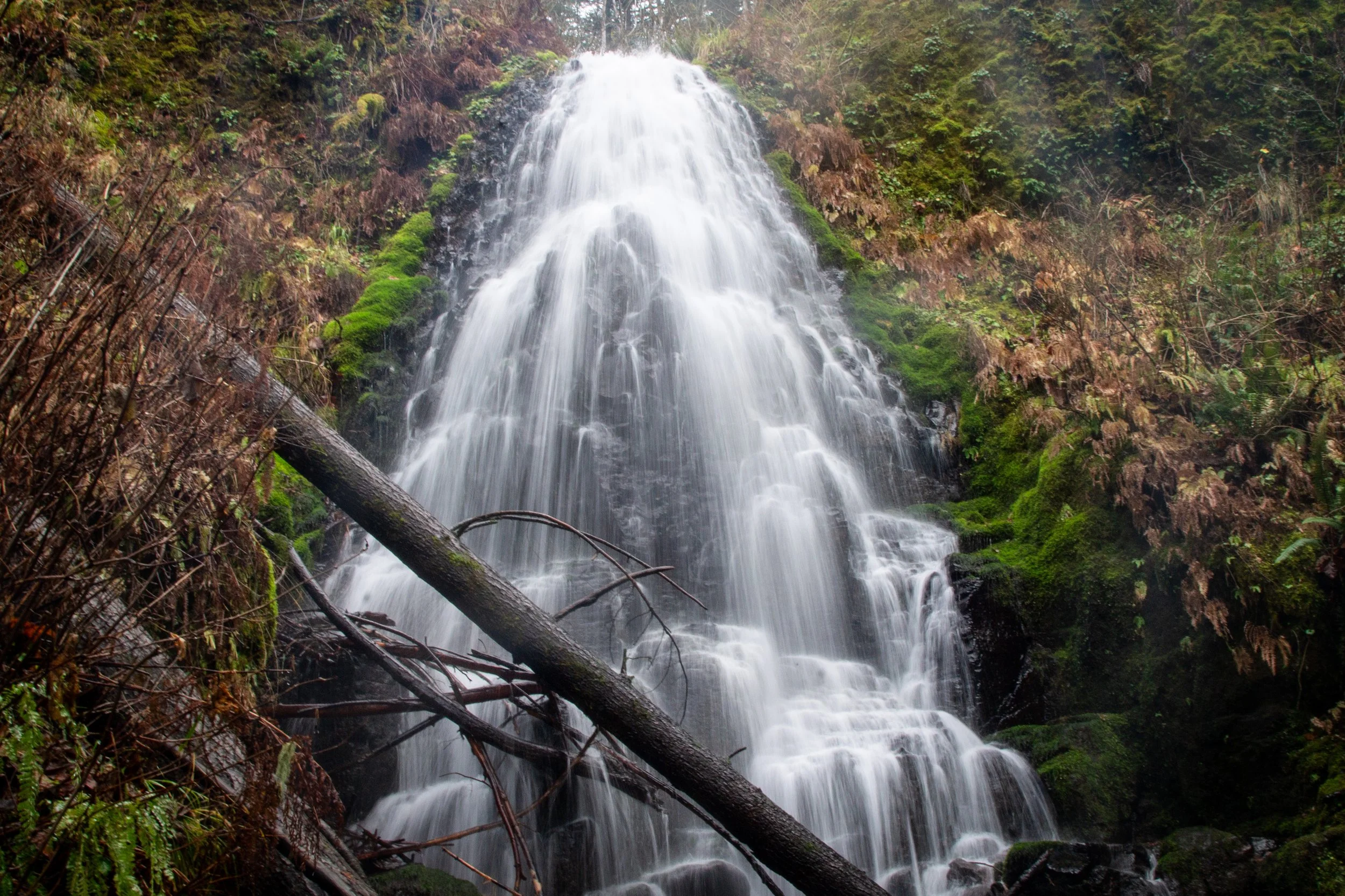 Fairy Falls in the winter