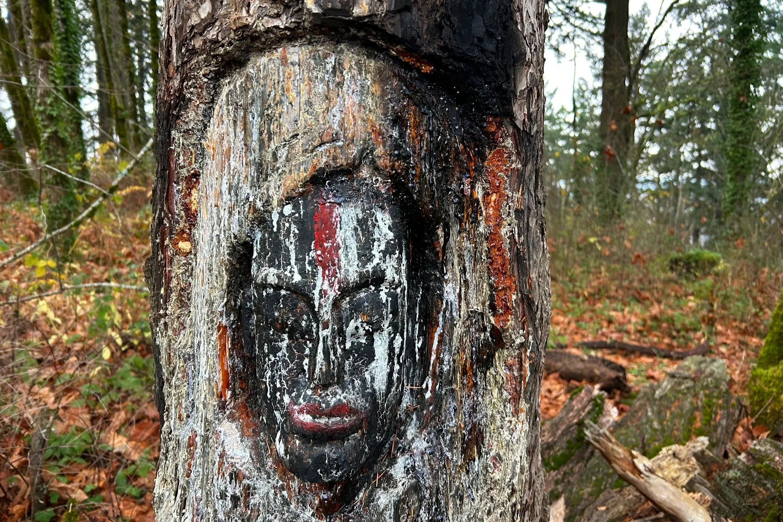Face carved in tree trunk