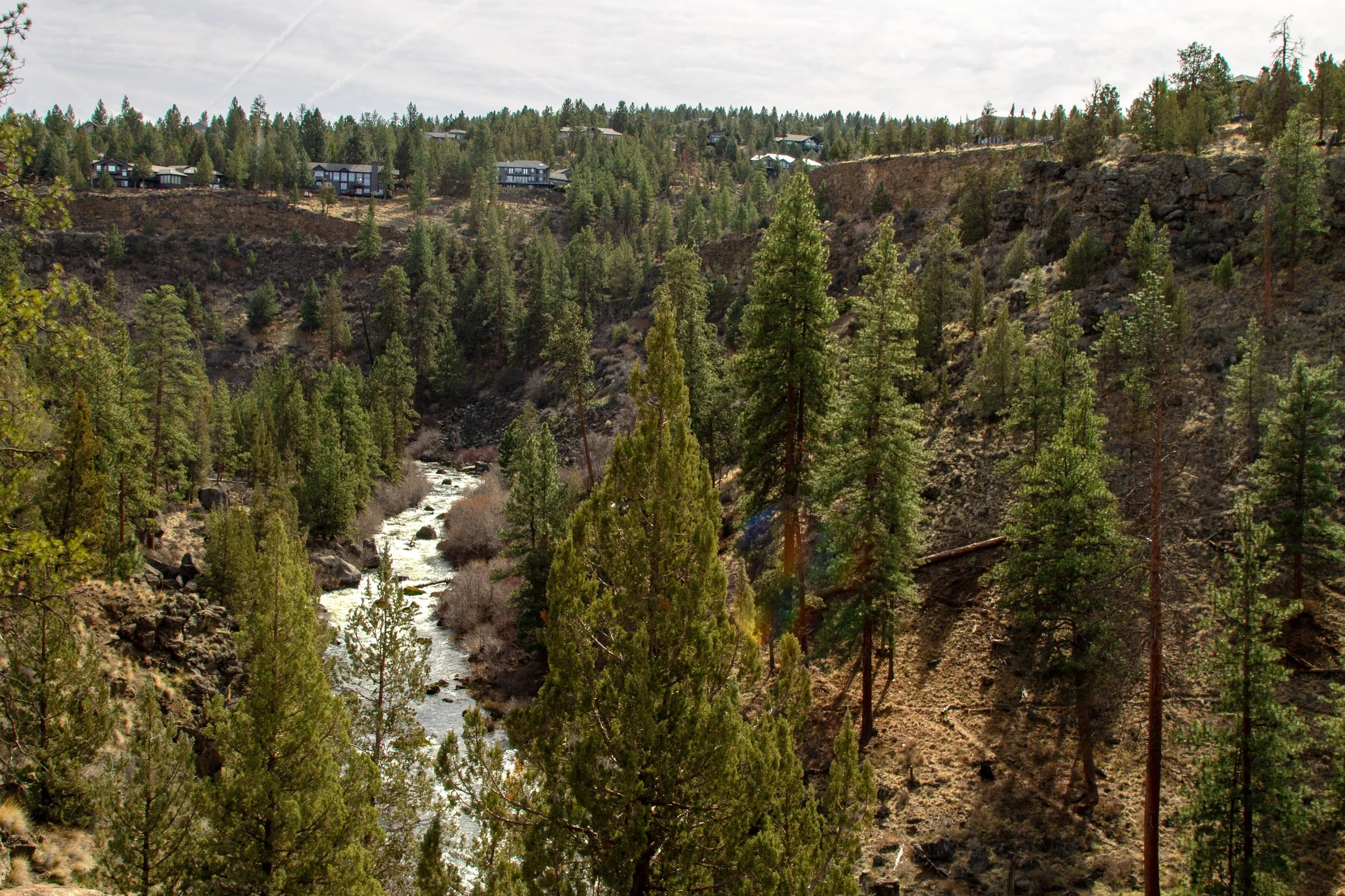 Deschutes River at base of canyon with rich people's houses across it