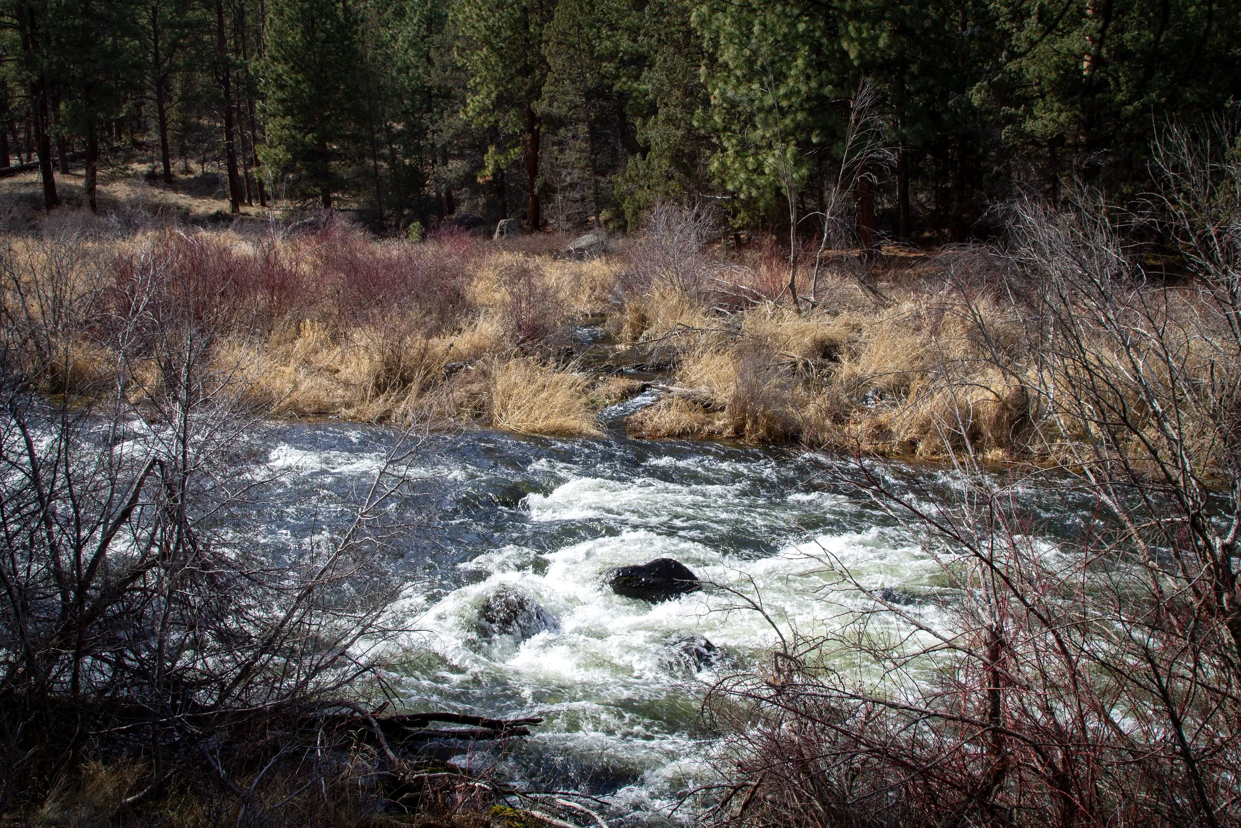 High water on Deschutes River