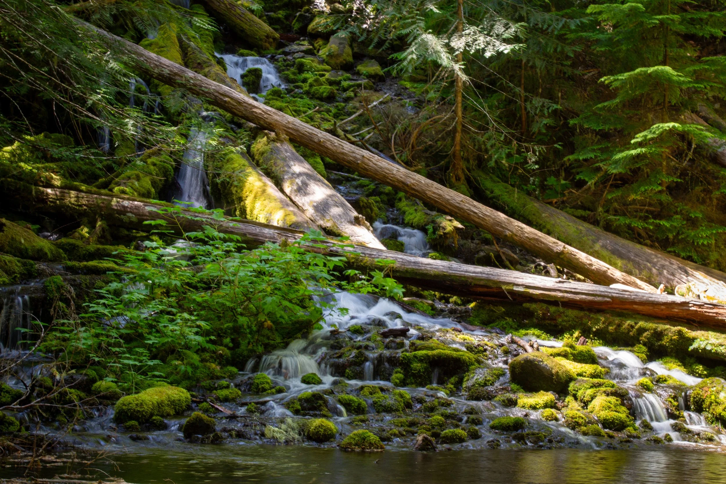 Upper Proxy Falls base and pool
