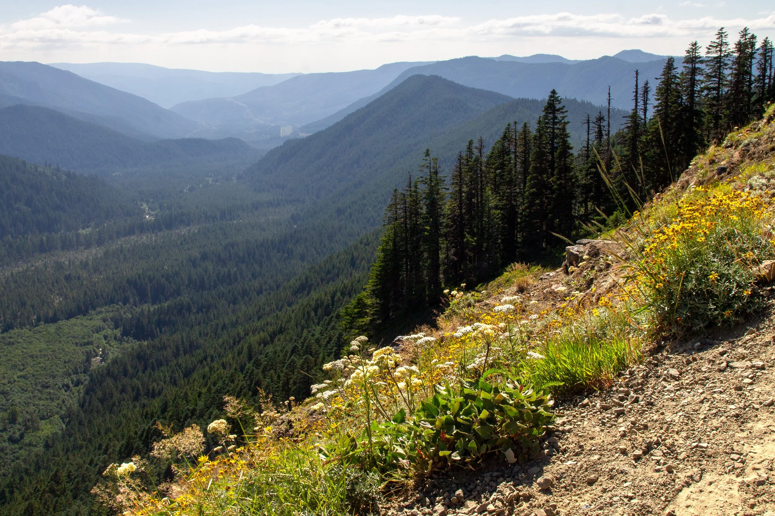 View of Muddy Fork Valley
