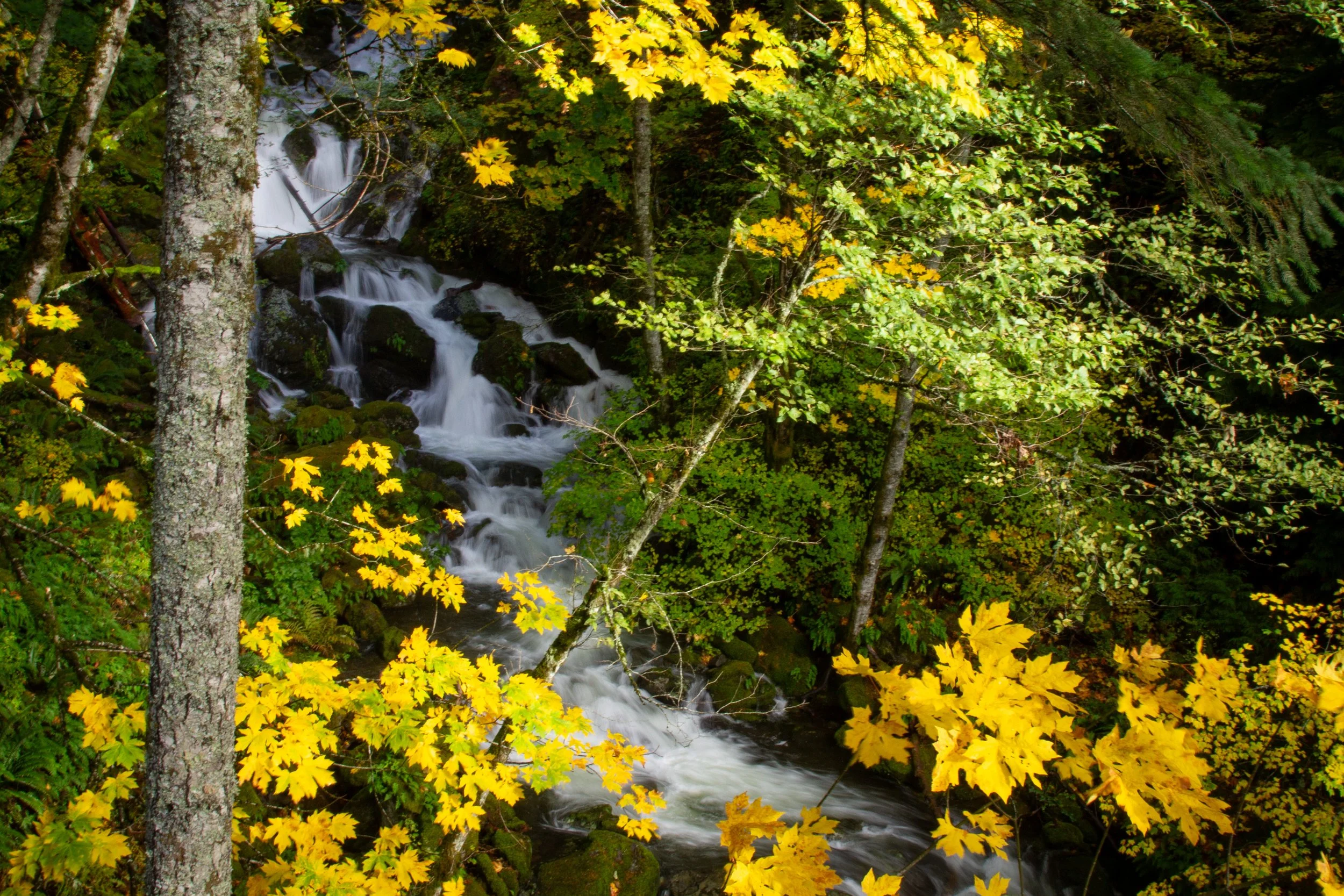 Harding Waterfall Hardy Falls, Rodney Falls, and Pool of the Winds Hike (and beyond ...