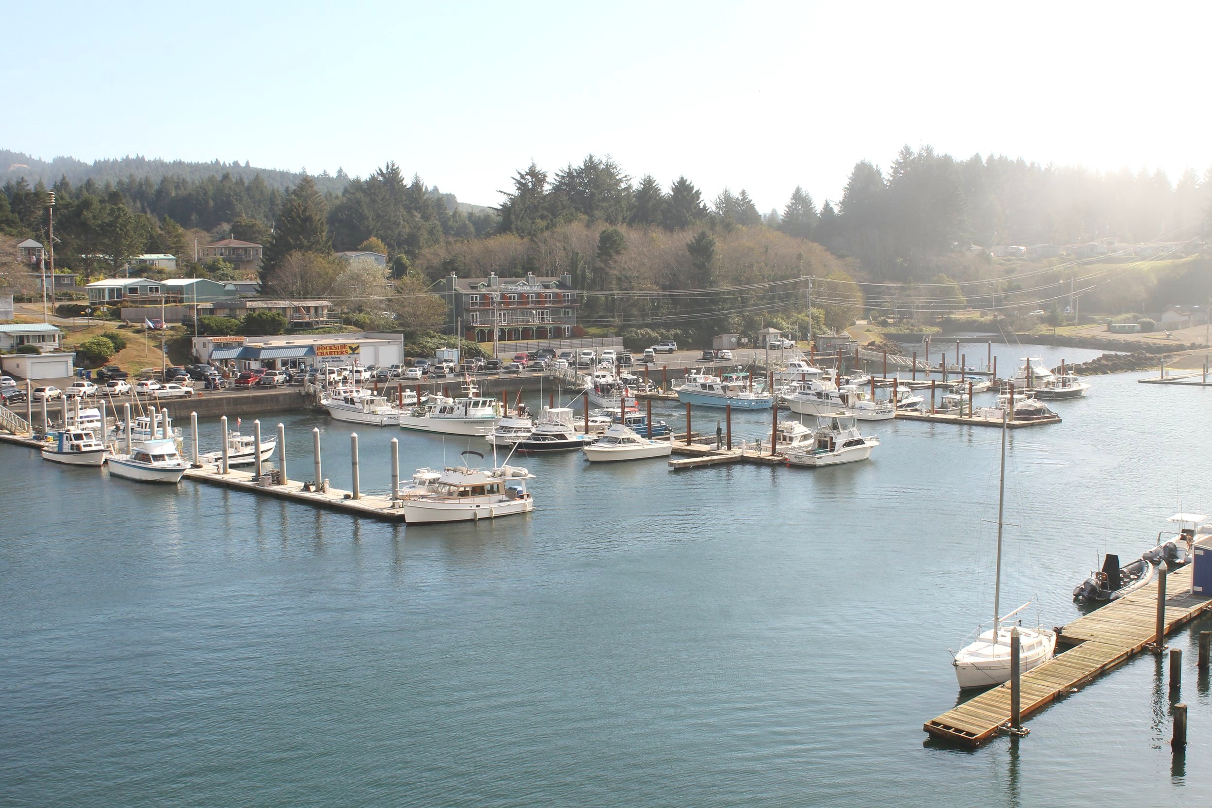 Best 10 Stops on the Oregon Coast from Depoe Bay to Newport — Pines and