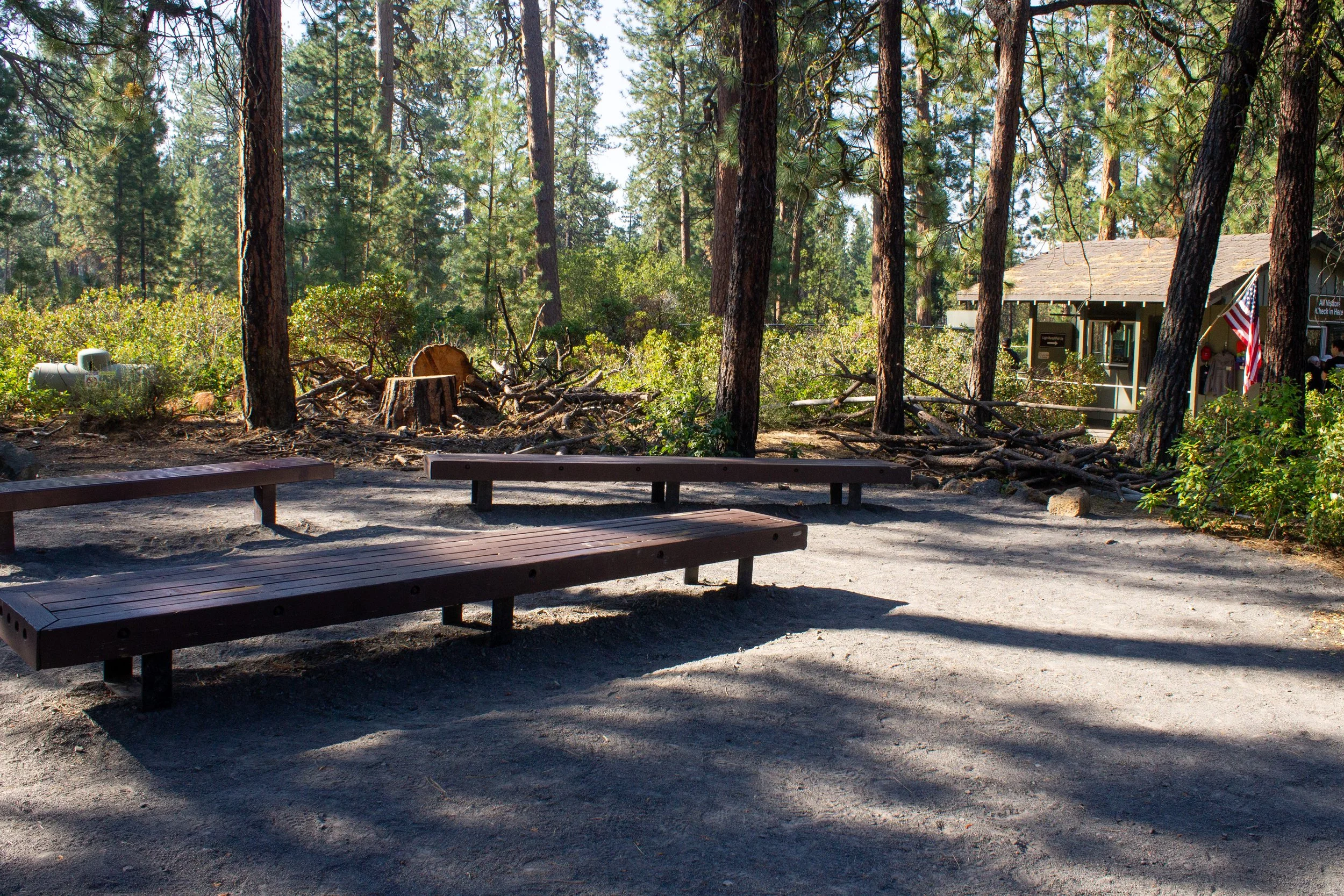 Benches in high desert forest