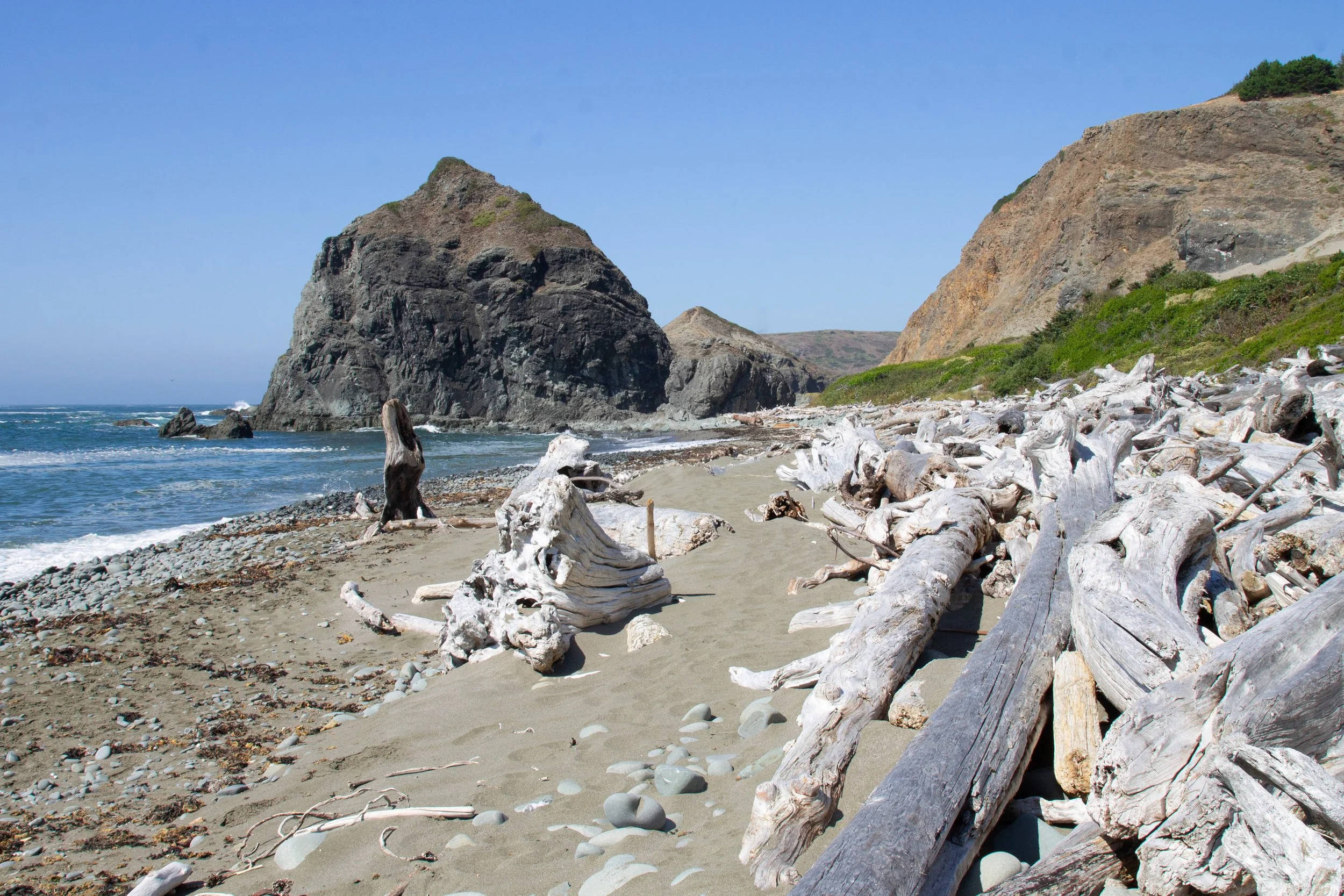 Driftwood on Lone Ranch Beach