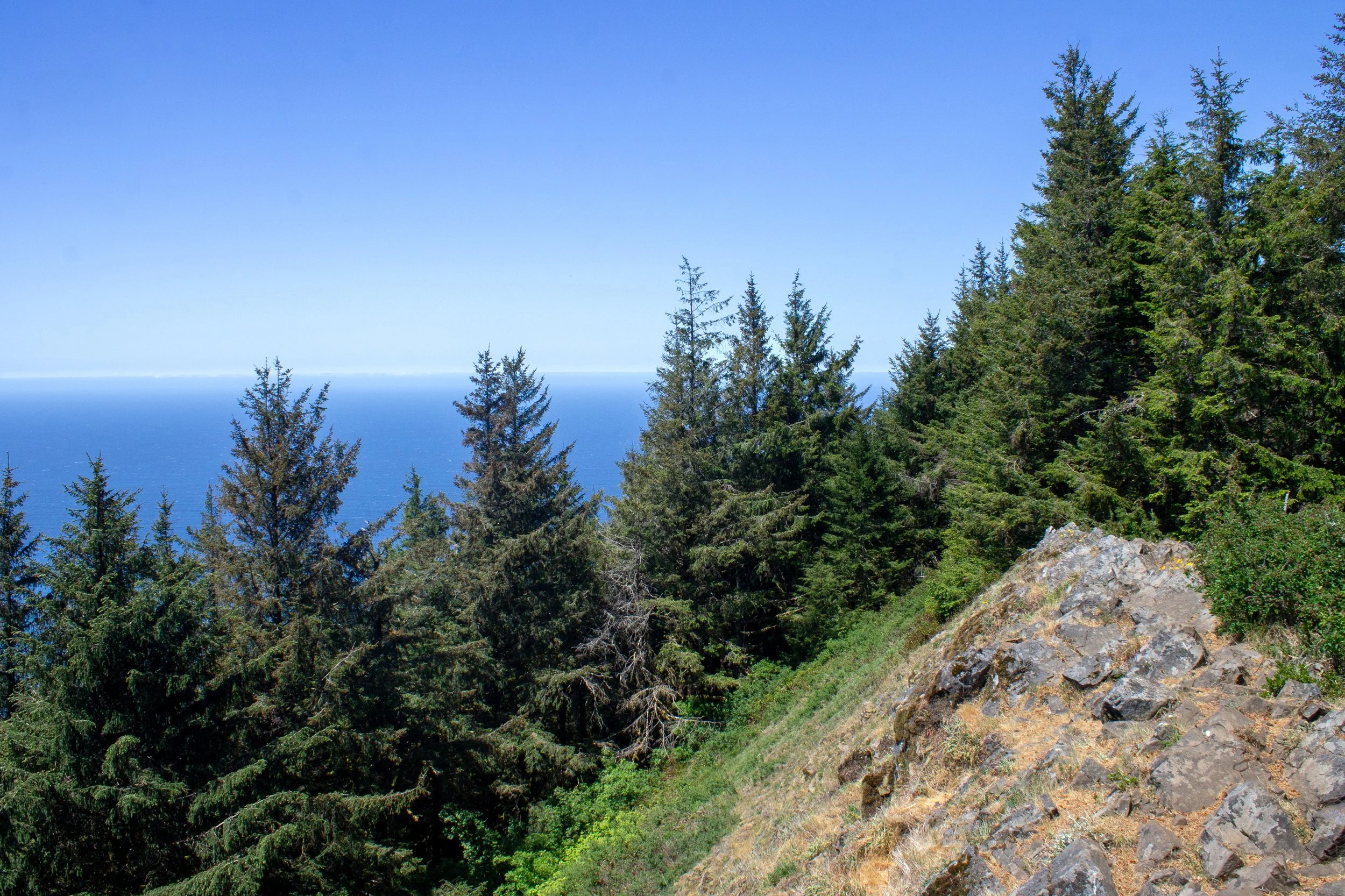 Rocky clearing on Neahkahnie Mountain summit