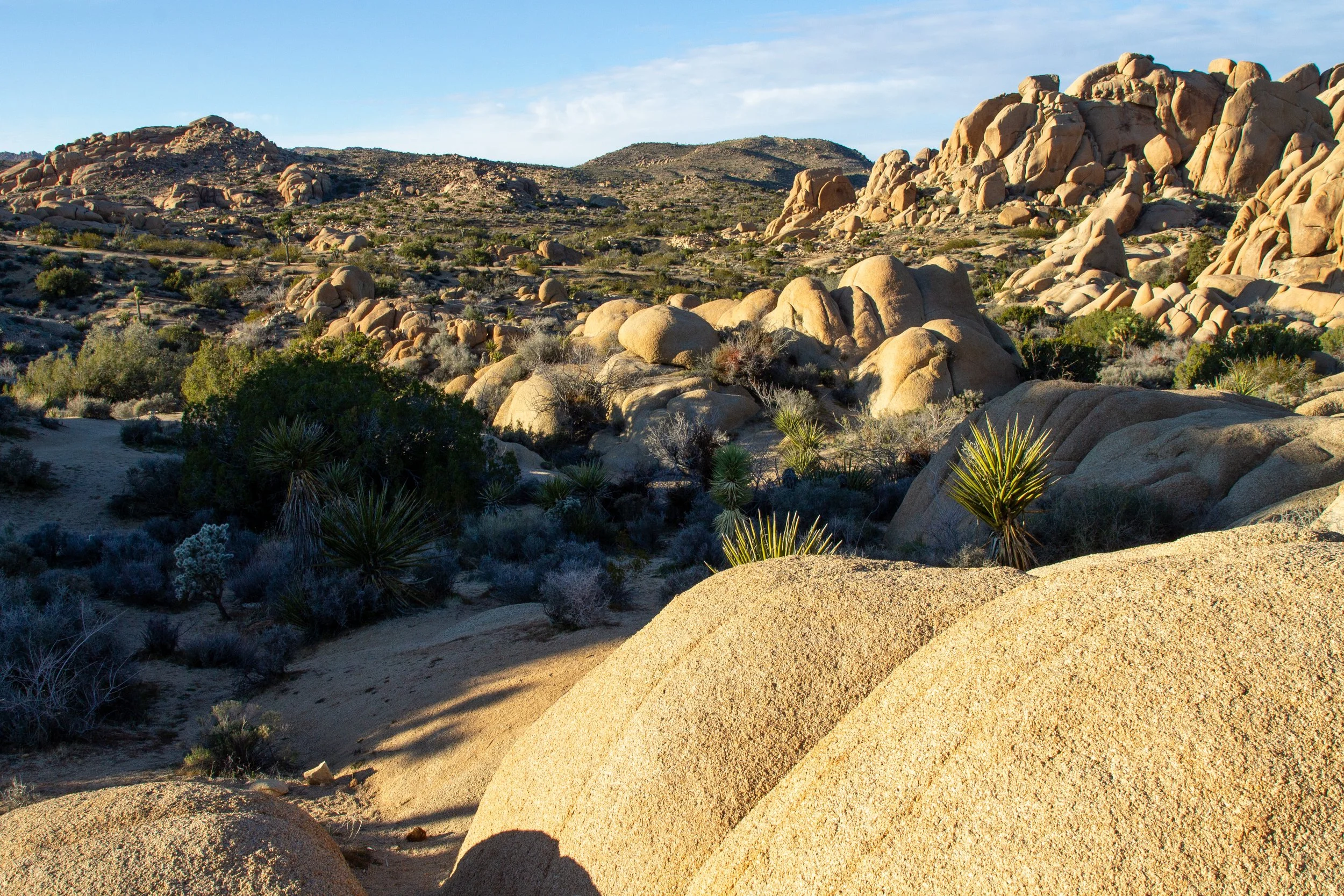 Rock formations along Discovery Trail
