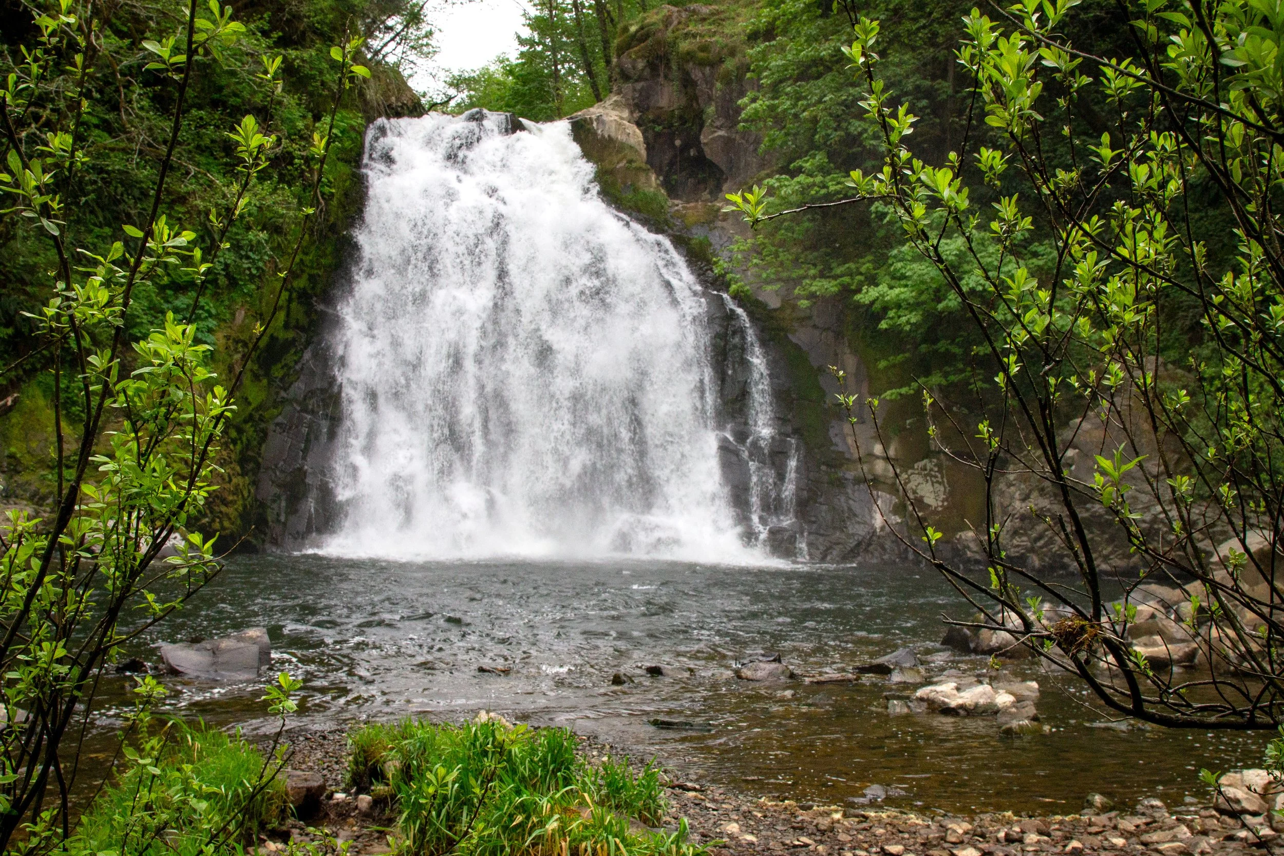 Youngs River Falls