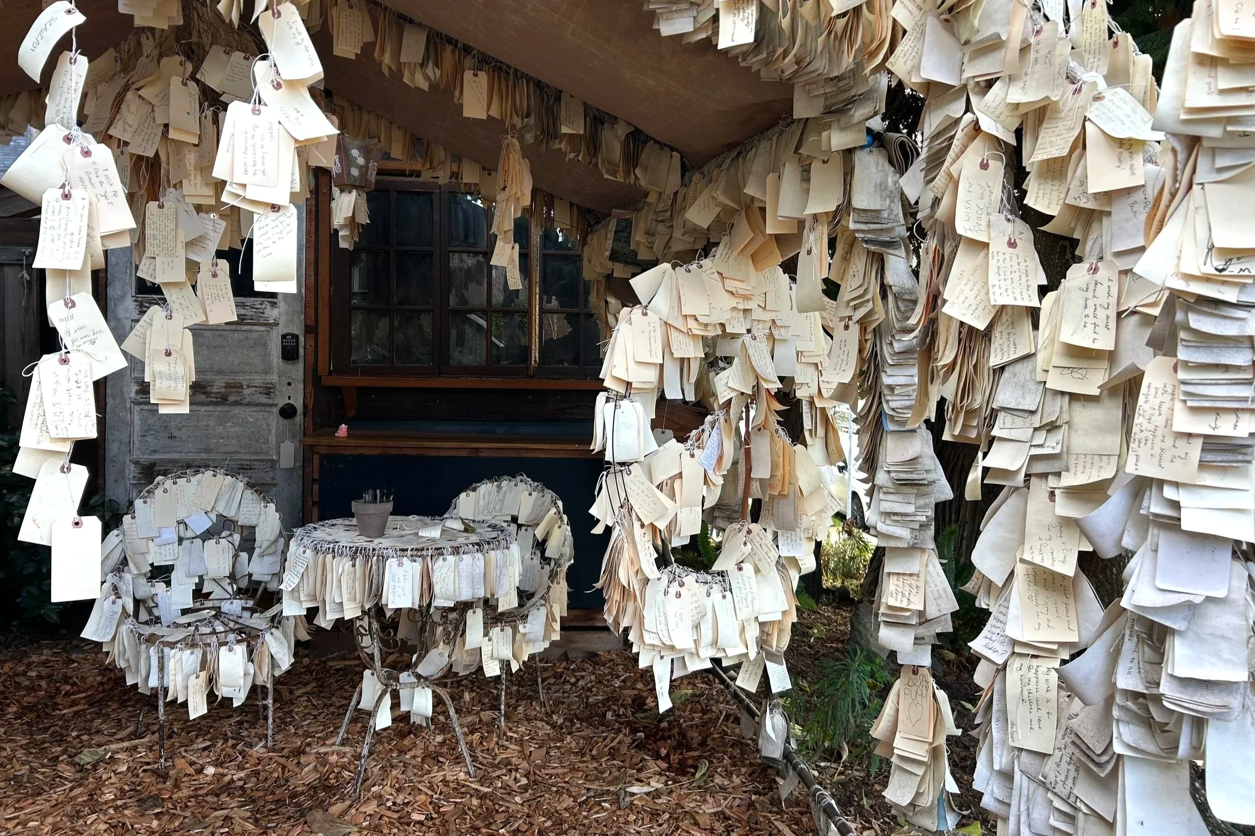 Paper tags with wishes hand from tree branches
