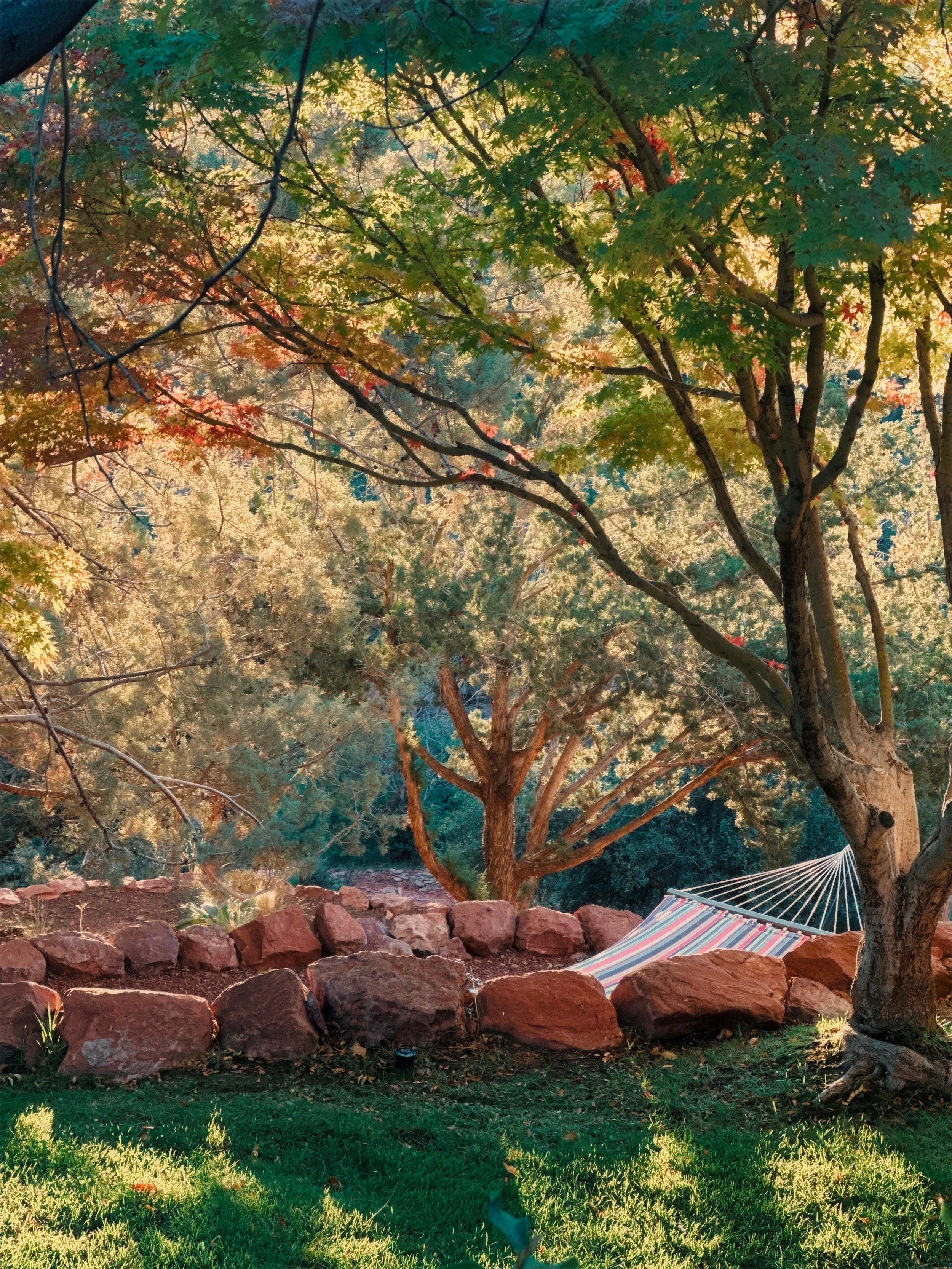 A hammock hanging at the property of the Sedona retreat. Surrounded by lush trees and red rocks