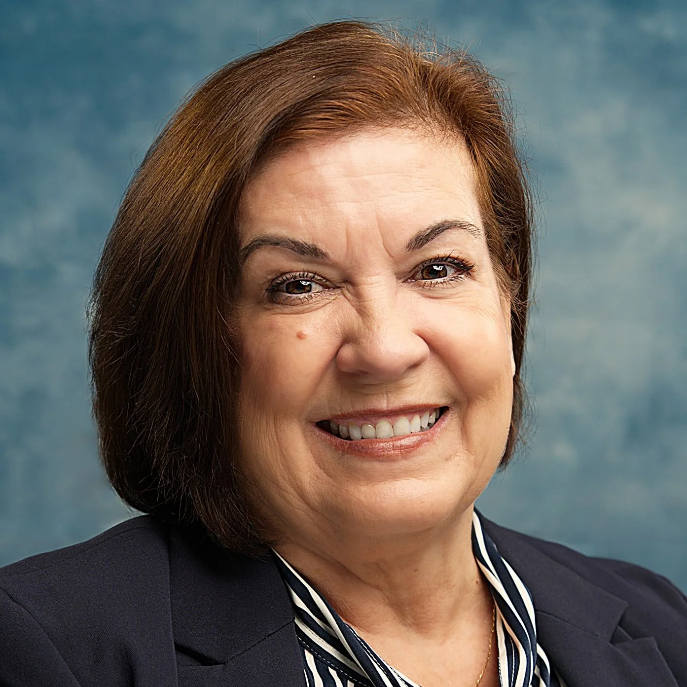 Venise Karris, Assemblymember
