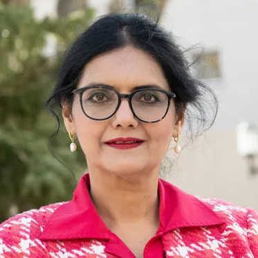 Hanadi Nadeem, Assemblymember