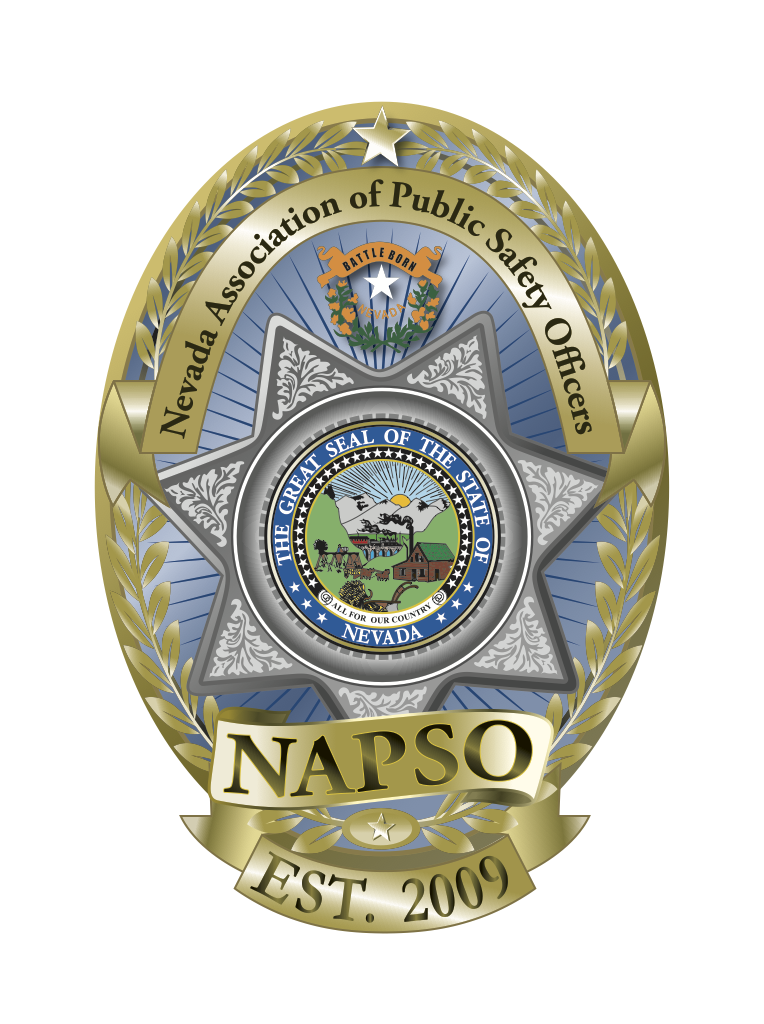 Logo - NAPSO.Est 2009.png
