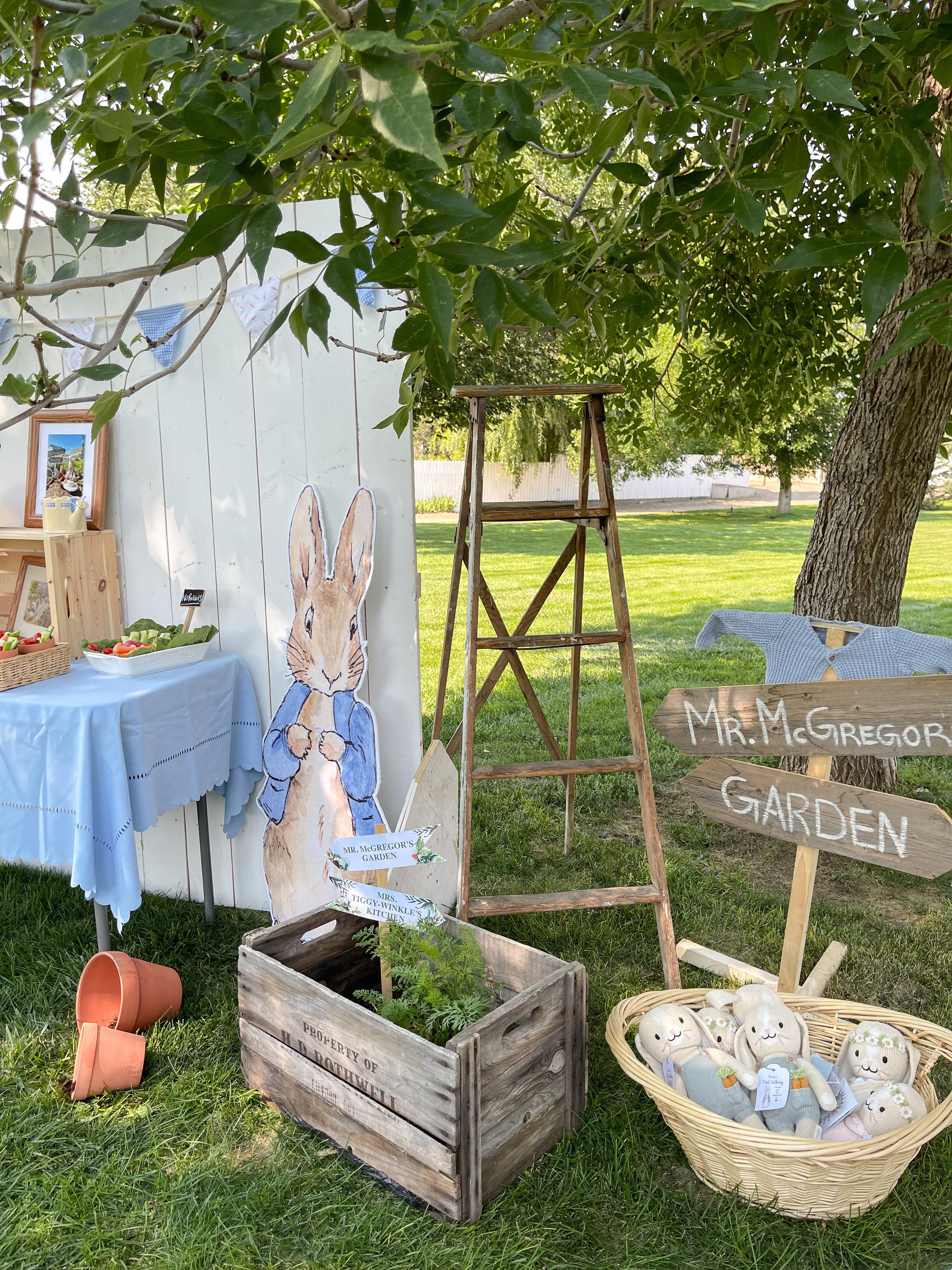 Peter Rabbit Party Supplies, Tableware, and Decorations