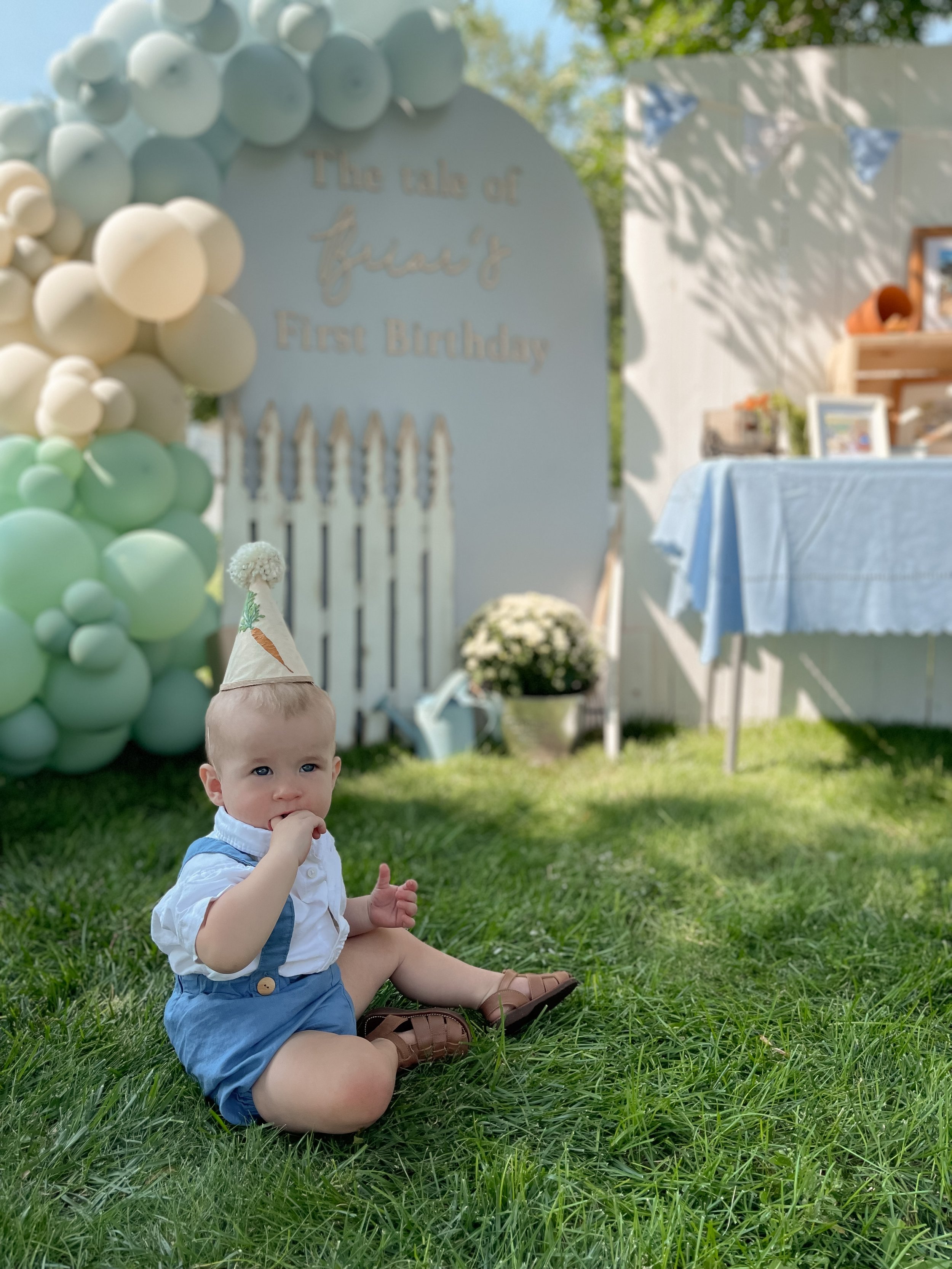 A Peter Rabbit First Birthday Party