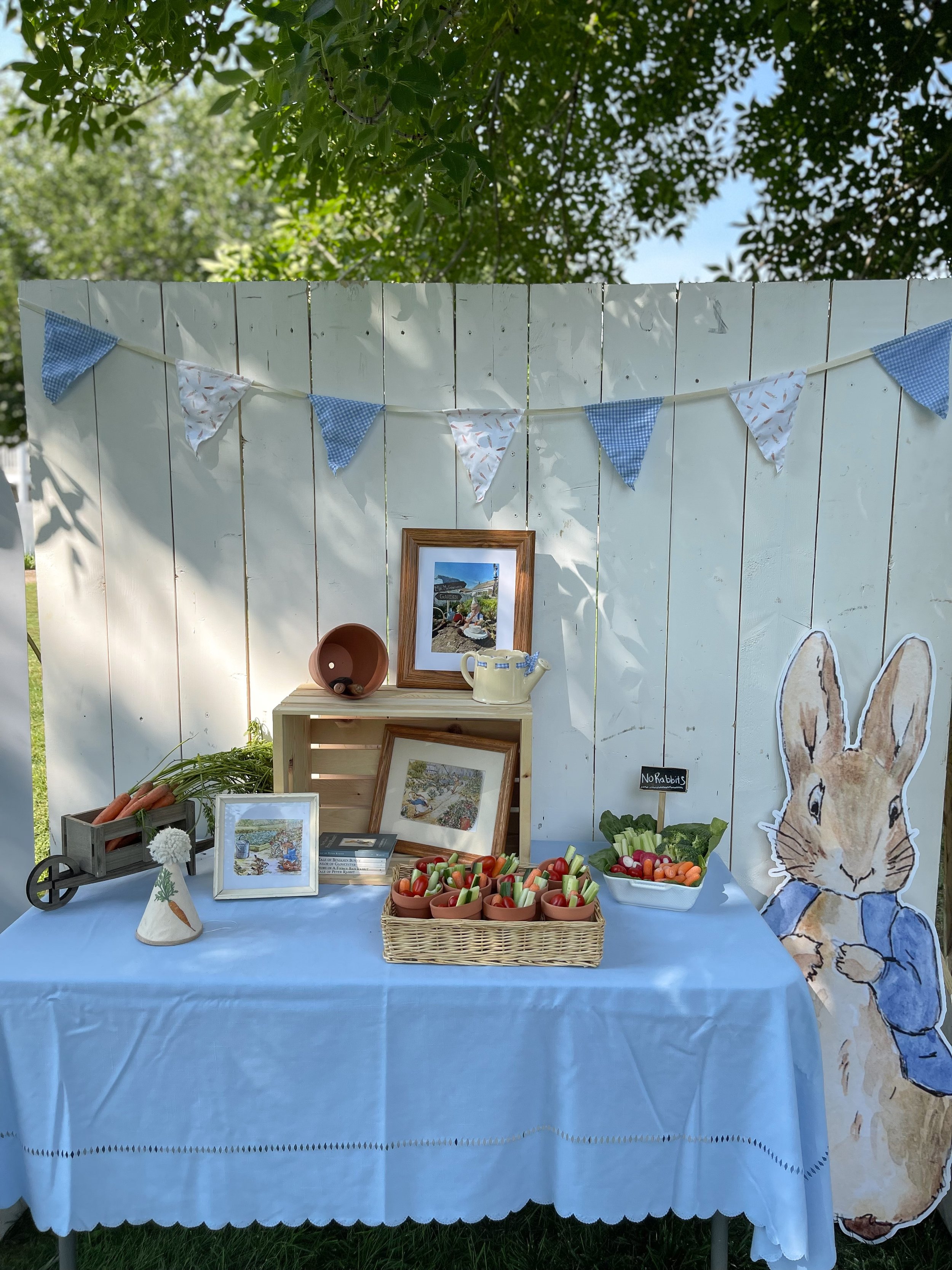 Pin en Peter Rabbit Party Ideas