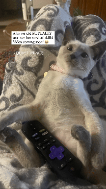 Mavisthemeezer_QuietPlace_3.gif