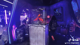 v12044gd0000co5b6m7og65tog4t0740.gif