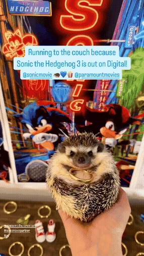 @lionelthehog_Sonic3_1.gif