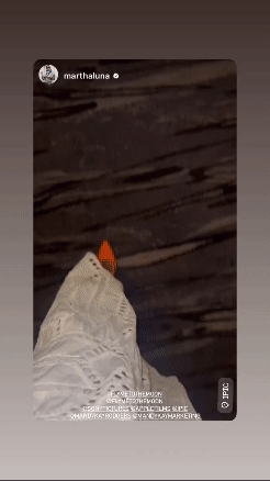 ipic_3.gif
