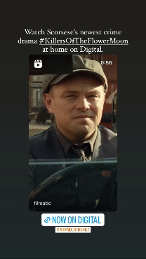 filmatic3.gif
