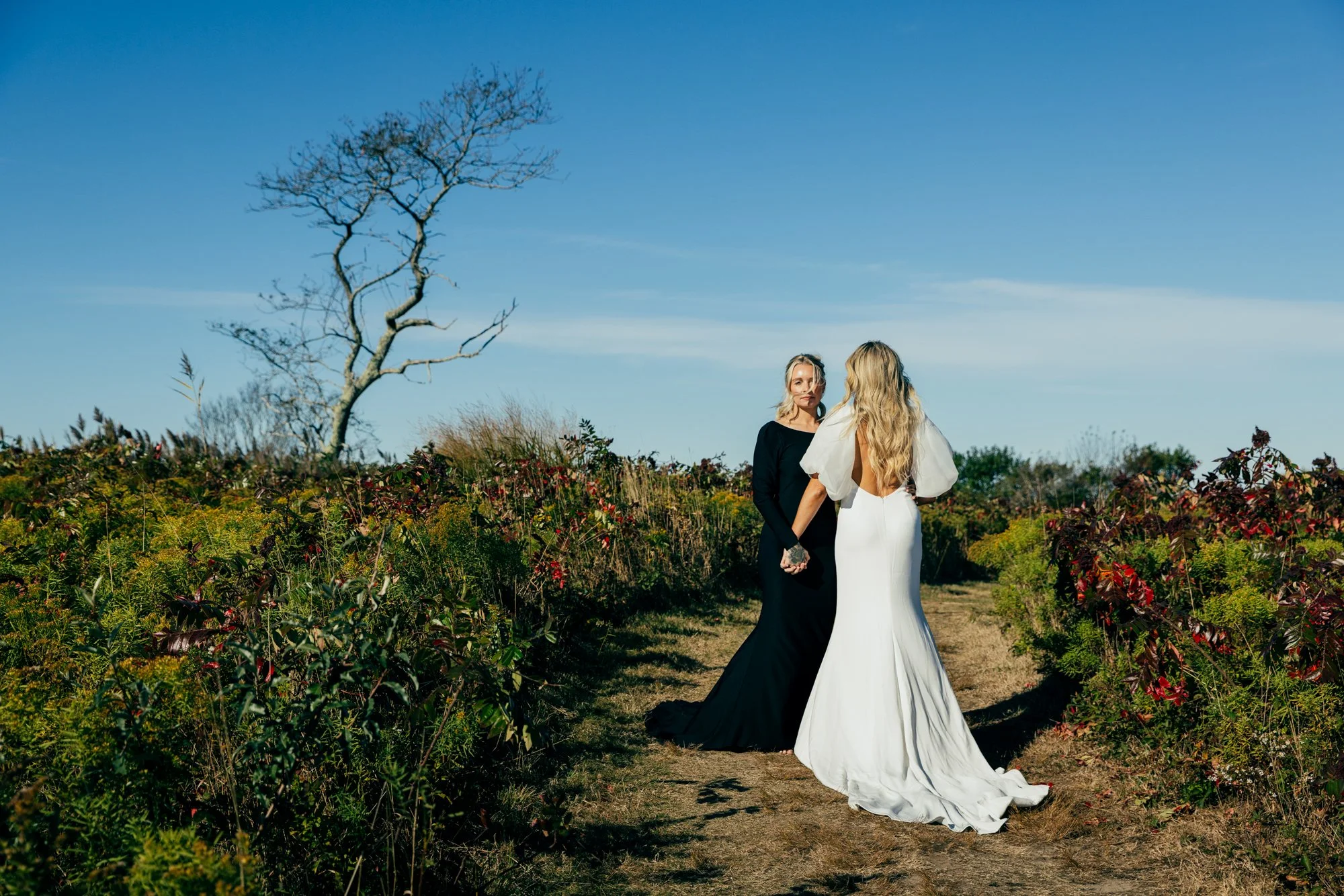 Two women in wedding dresses holding hands on a dirt path through a field with bushes and a leafless tree under a clear blue sky.
