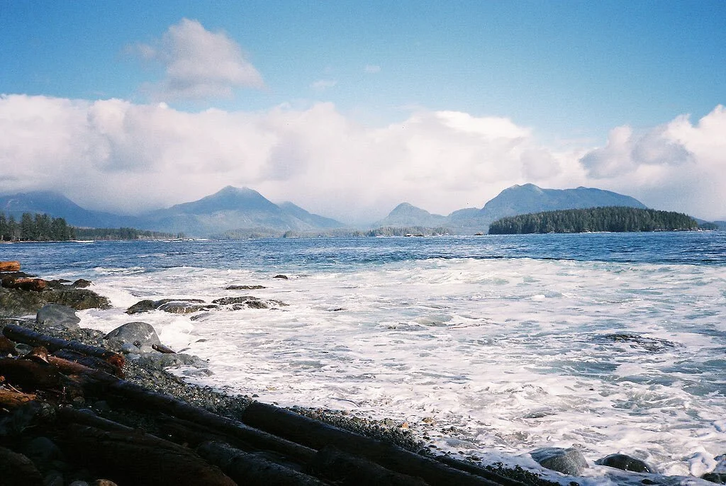Blues of spring 🌀🧊🫐🌚🐋🦋#naturalfreedom #takeahike #shootfilm