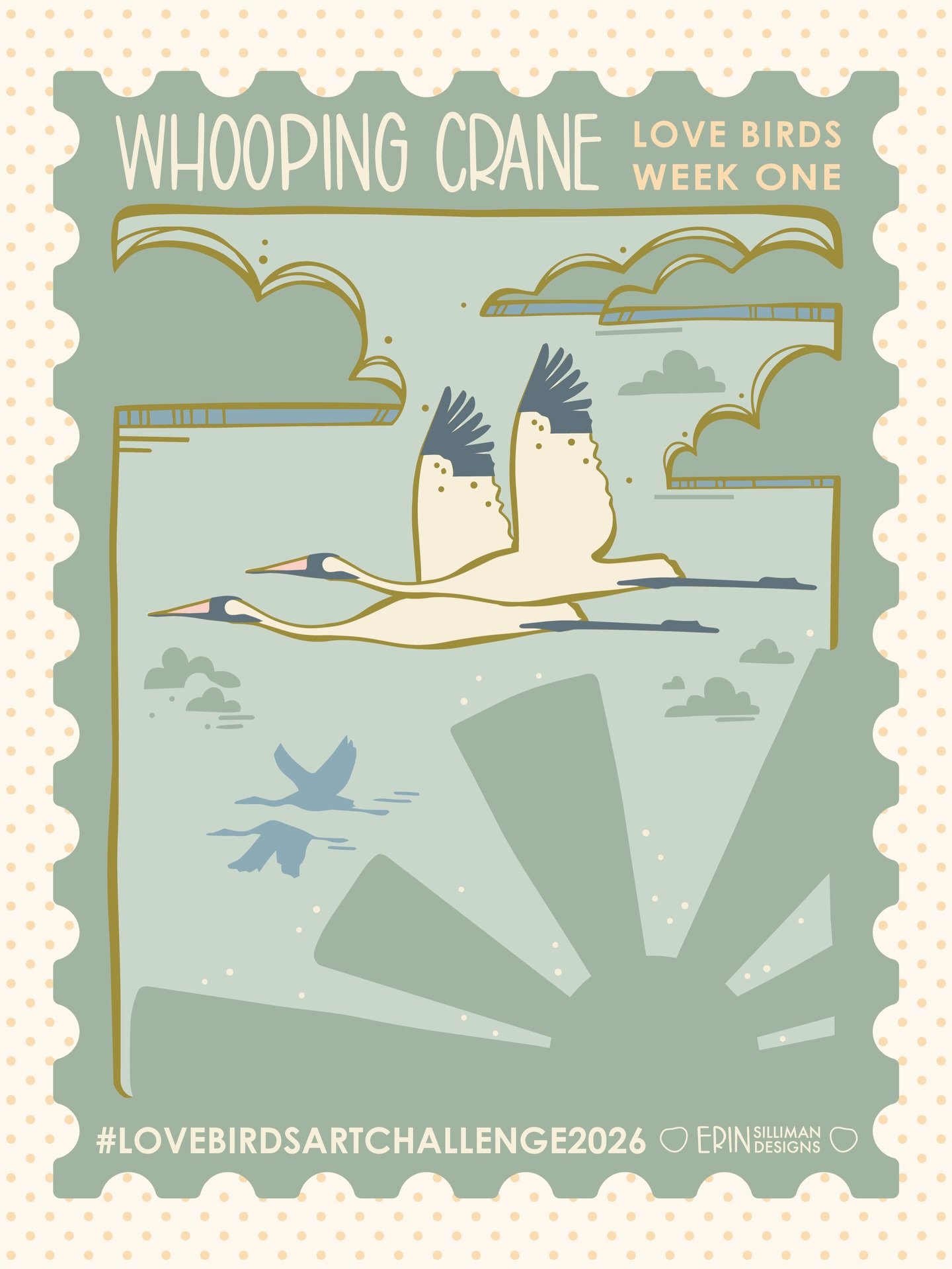 Aren&rsquo;t cranes just one of the most regal birds? Especially when they are flying. This is my first official post for our new #lovebirdsartchallenge2026. 
🤍
The crane prompt called to me first. I learned that whooping cranes perform elaborate da