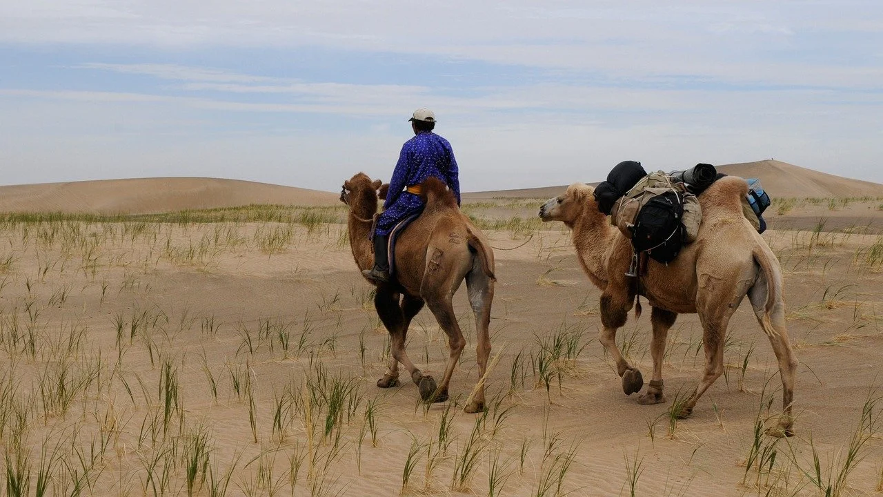mongolia-831286_1280.jpg