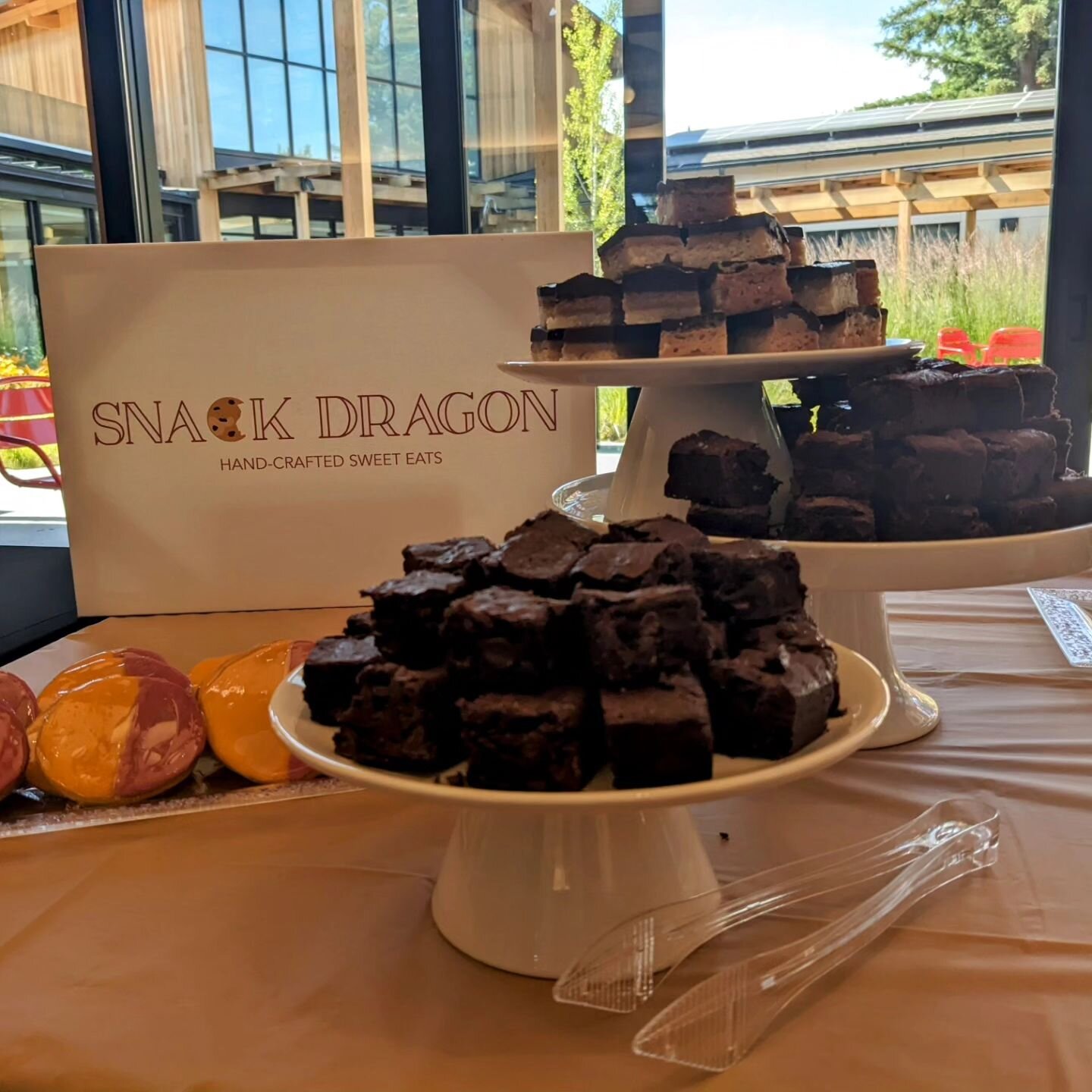 Thank you to CSA of MV, LA, and LAH for inviting Snack Dragon to their Volunteer Appreciation Event!

With 40 staff and 500 volunteers per year, CSA is providing critical support services in our local communities.  I am a weekly volunteer for their f