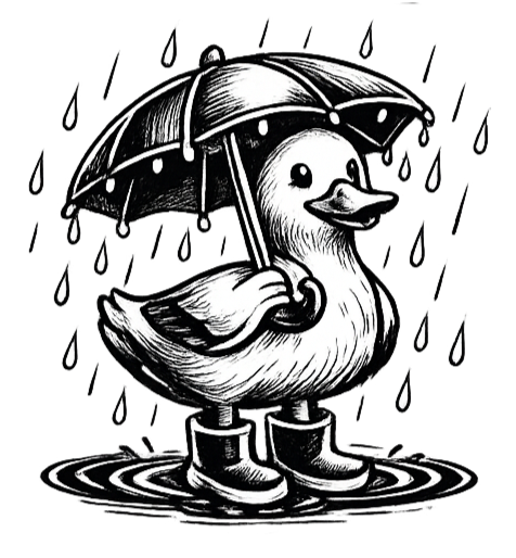 Dry Duck Entertainment