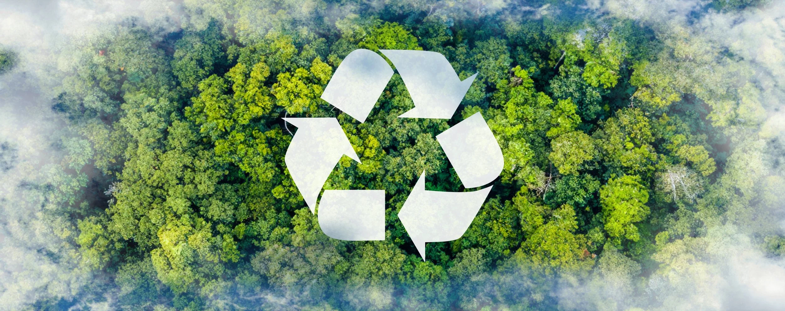 Join Us in Celebrating Creation on Earth Day