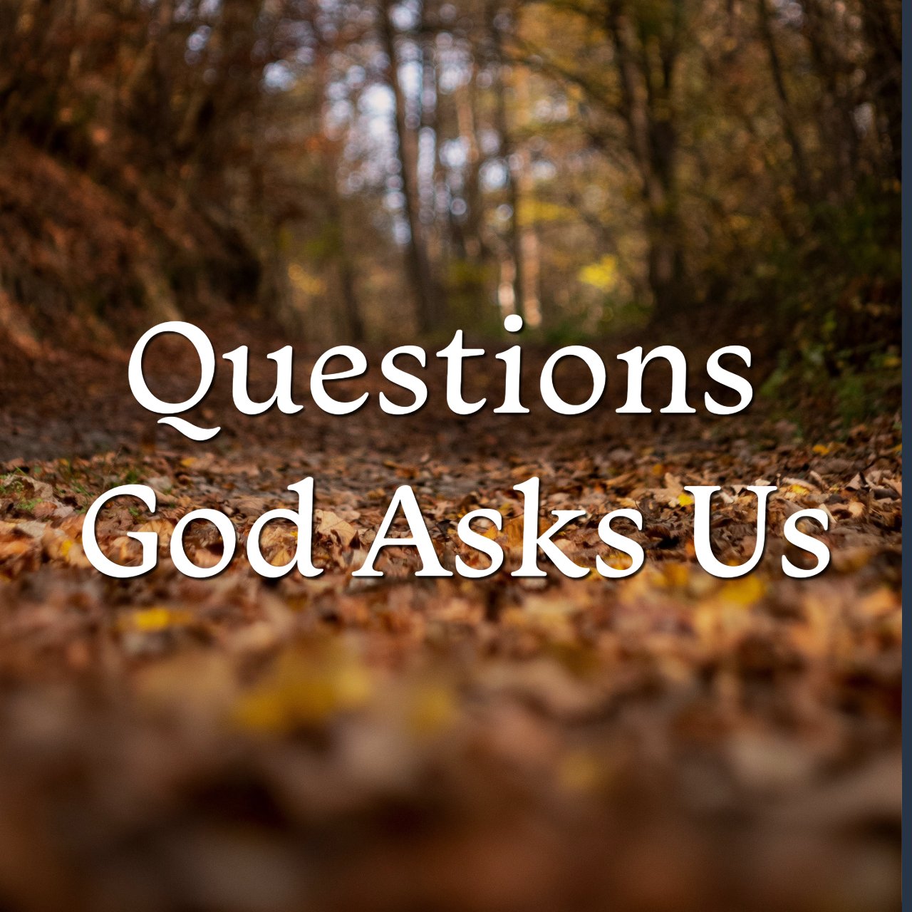 Questions God Asks Us (1).png