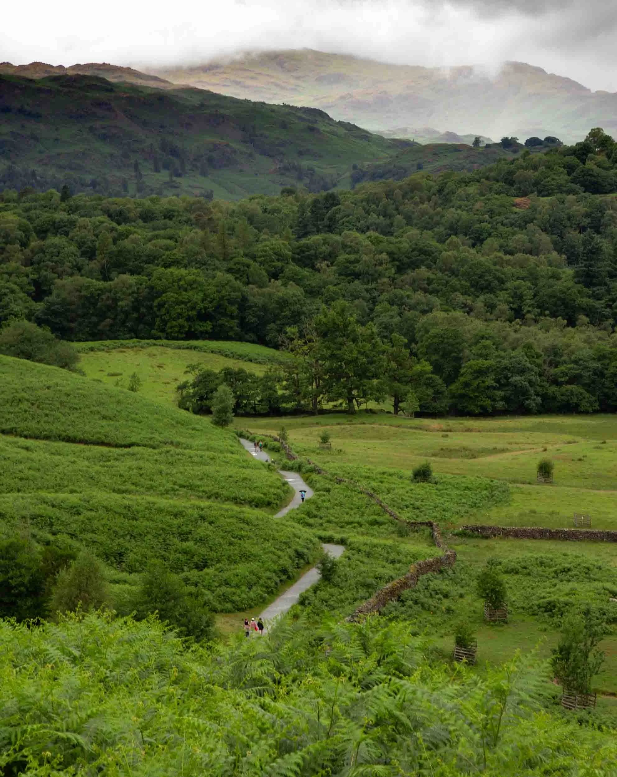 rydal cavel-lake-district-england-tania-kuegler-photography.JPG