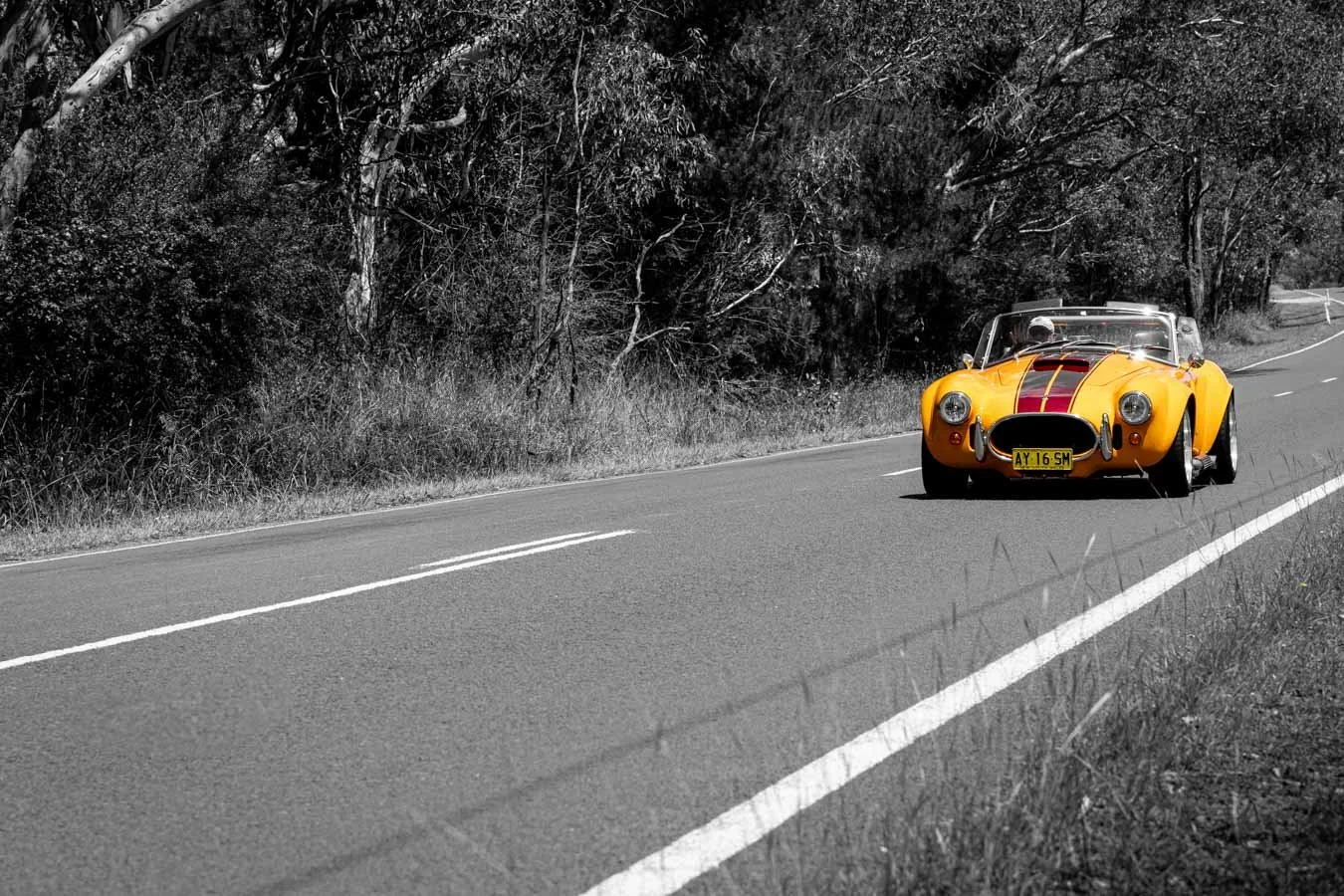 gnoo-blas-orange-nsw.JPG